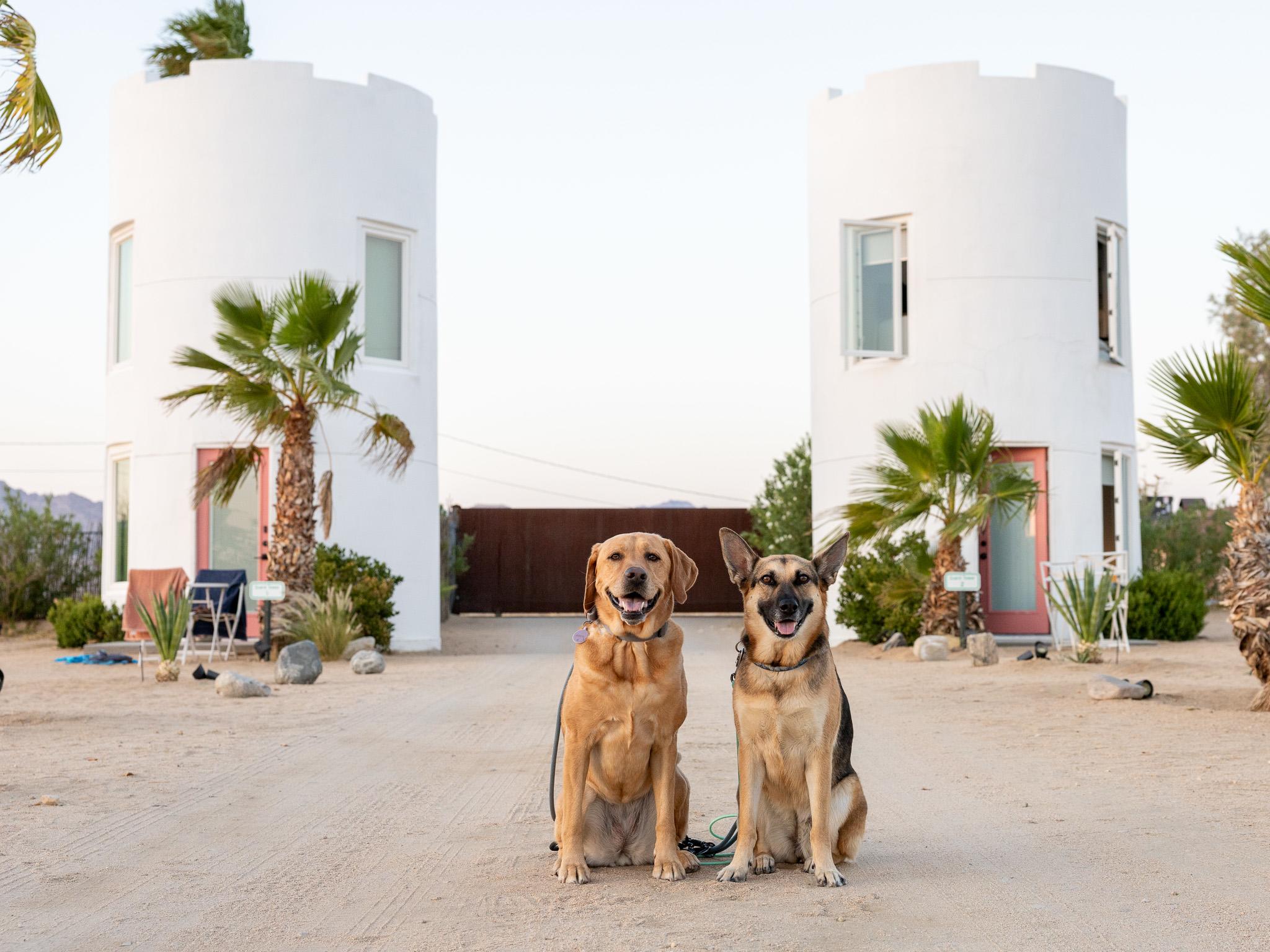 The Castle House: Estate