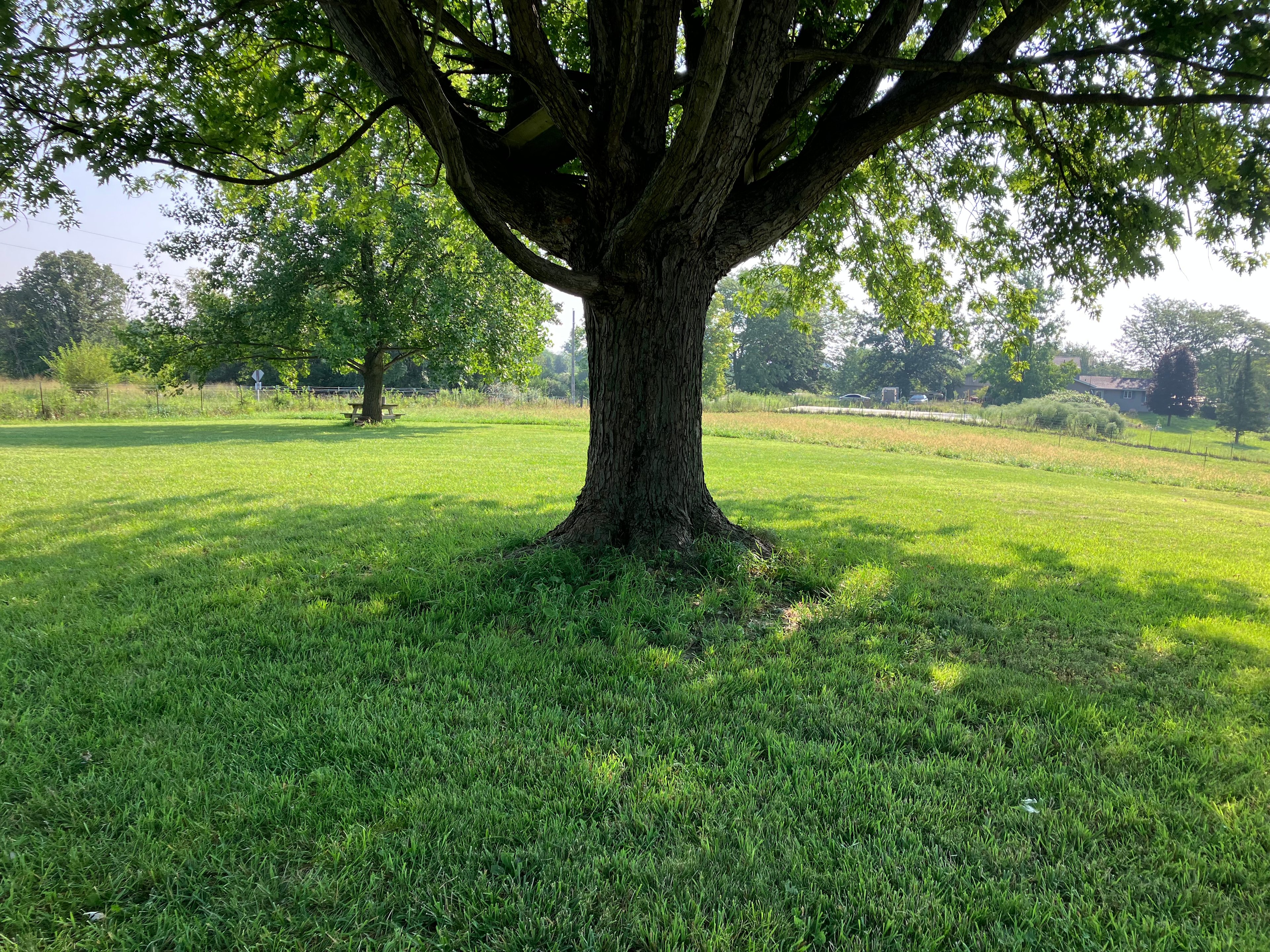Hillbrook Haven