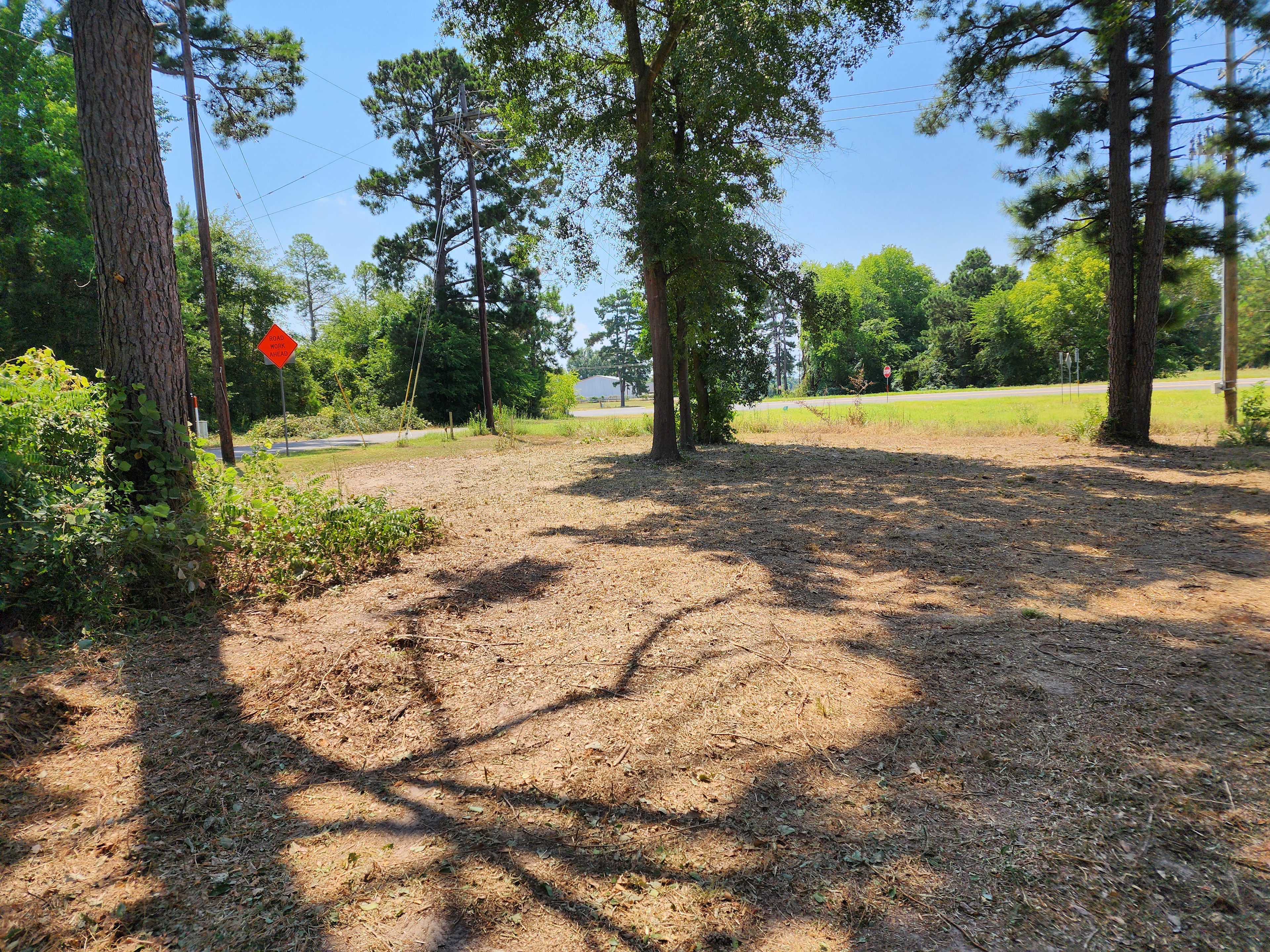 Big Pines Camp