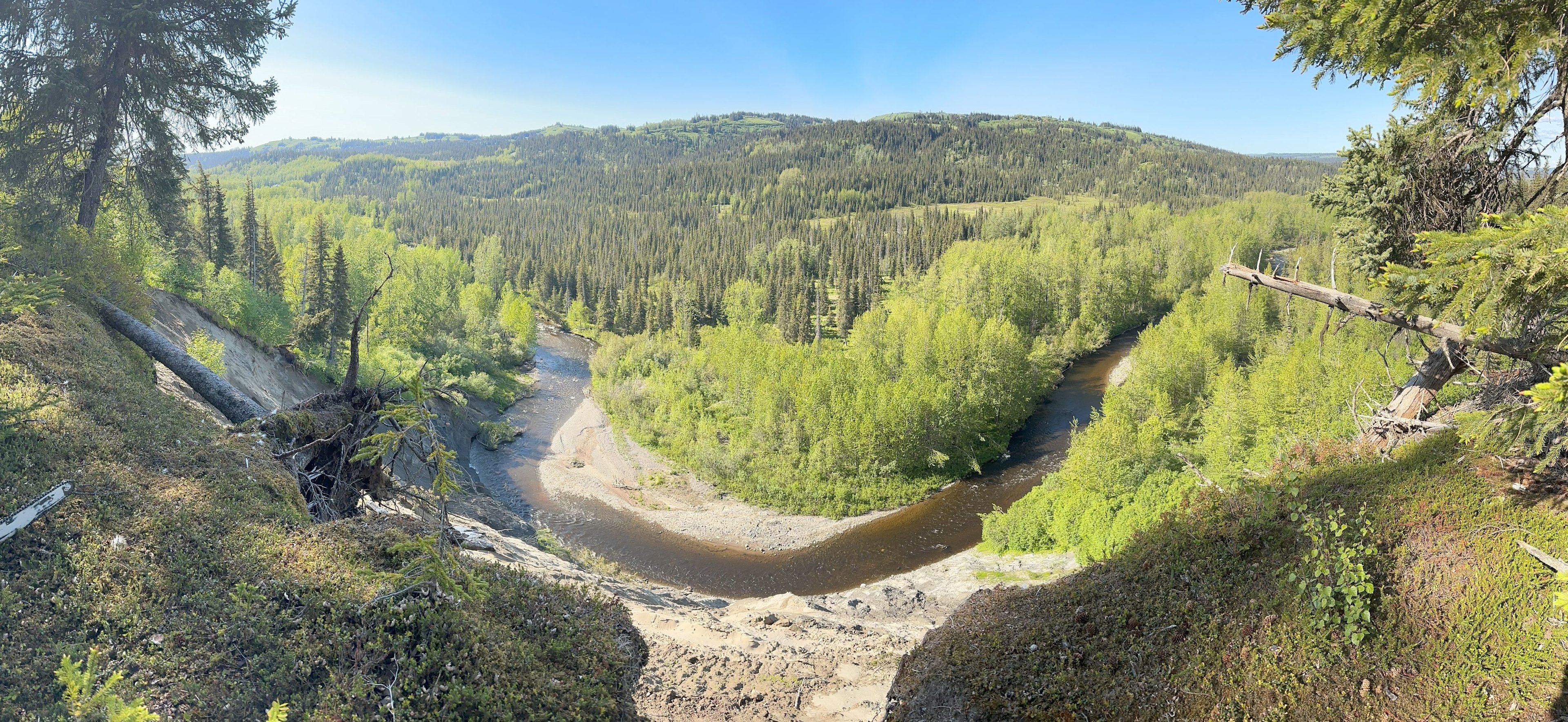 Twin Rivers Wilderness