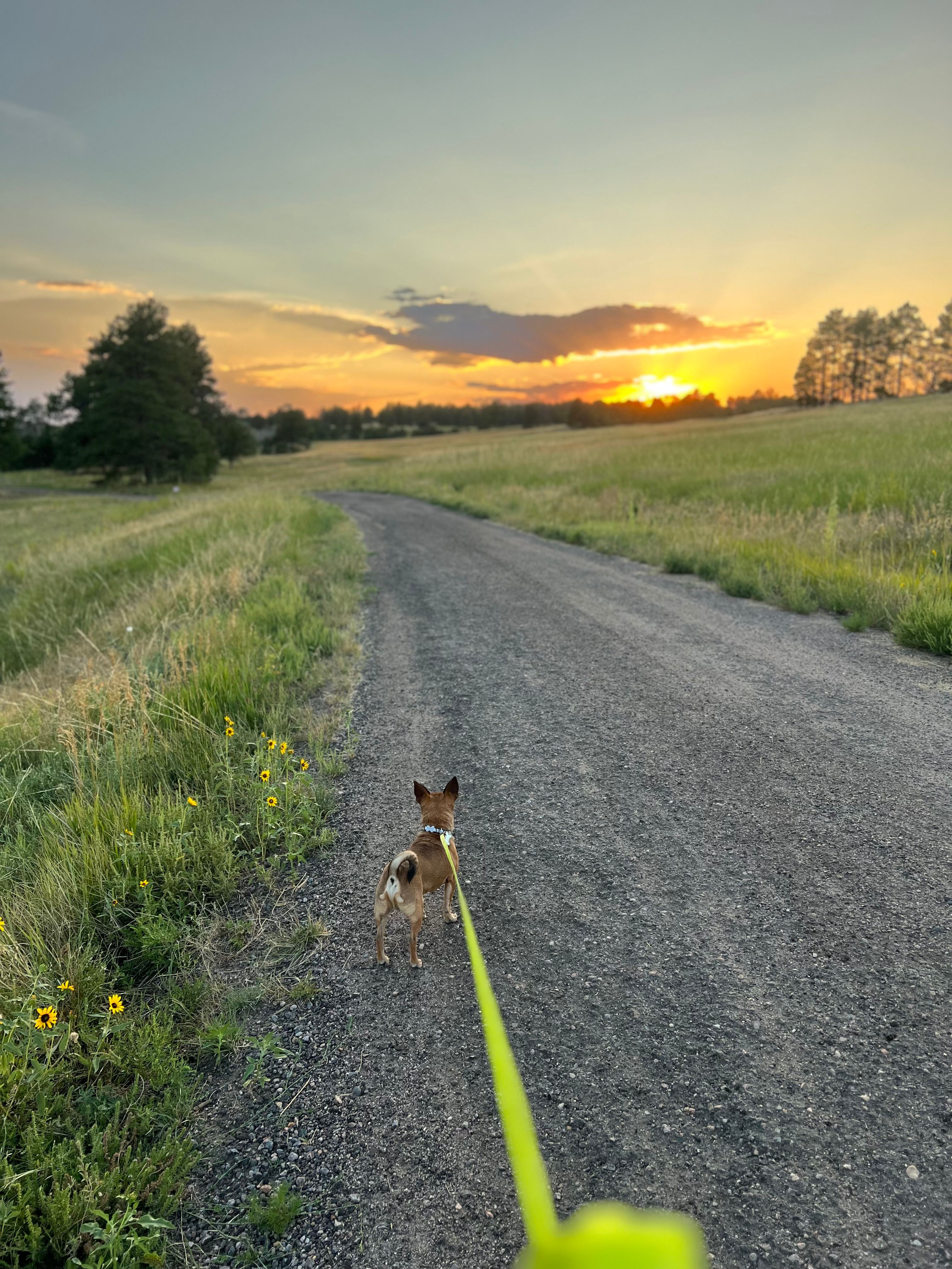 120 Acre Animal Sanctuary