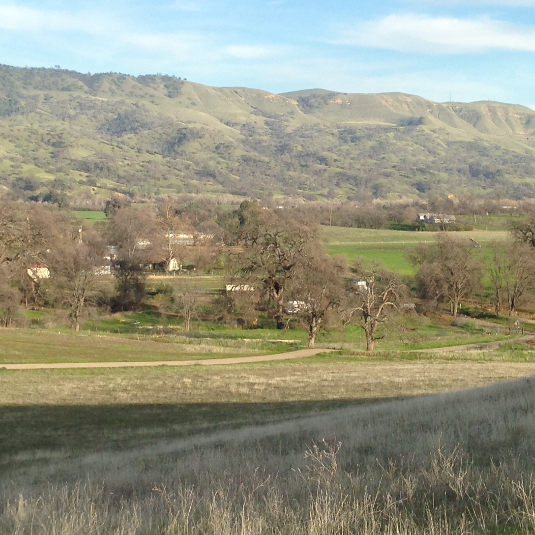 Nopal Studio And Cabins