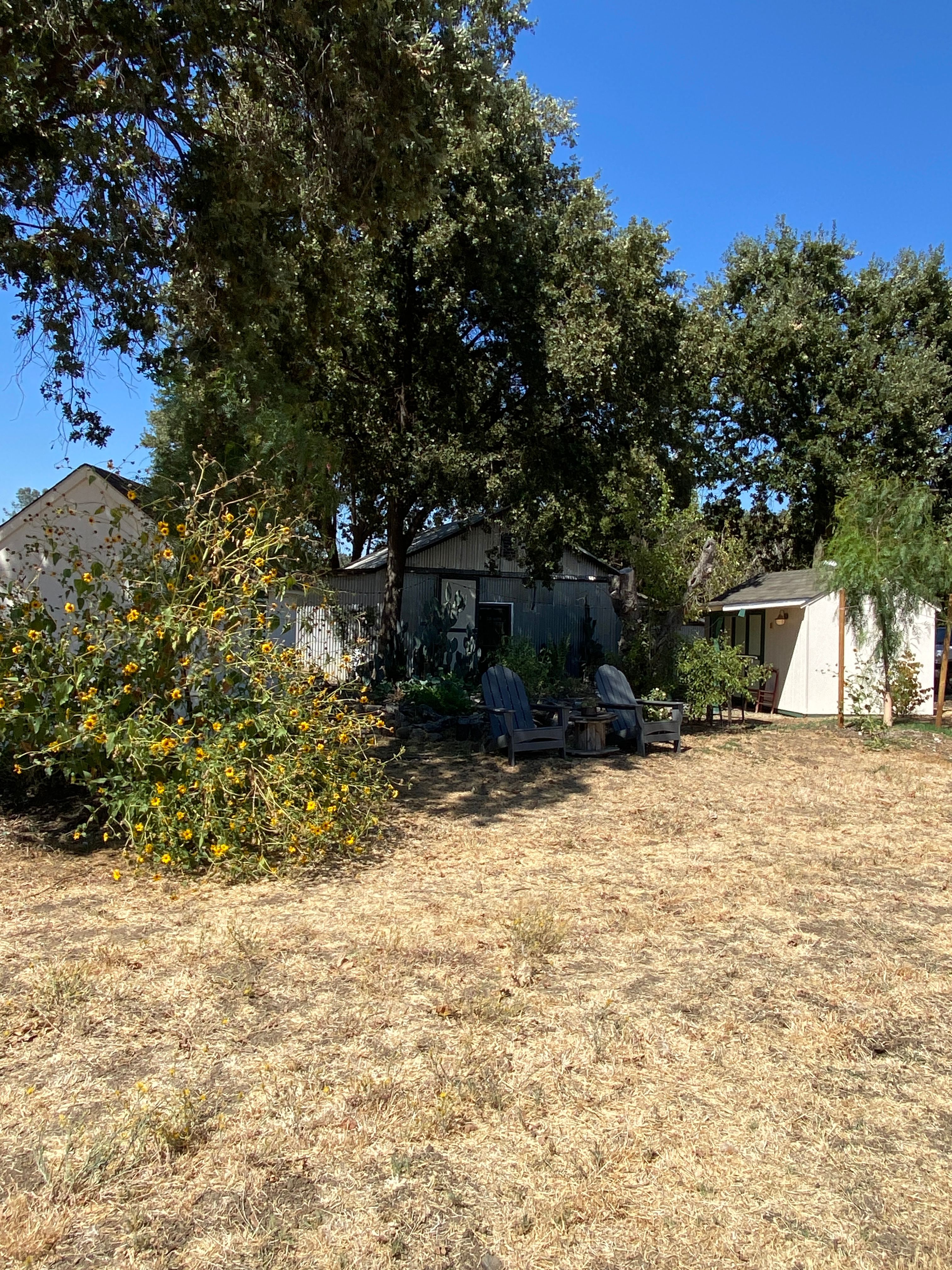 Nopal Studio And Cabins