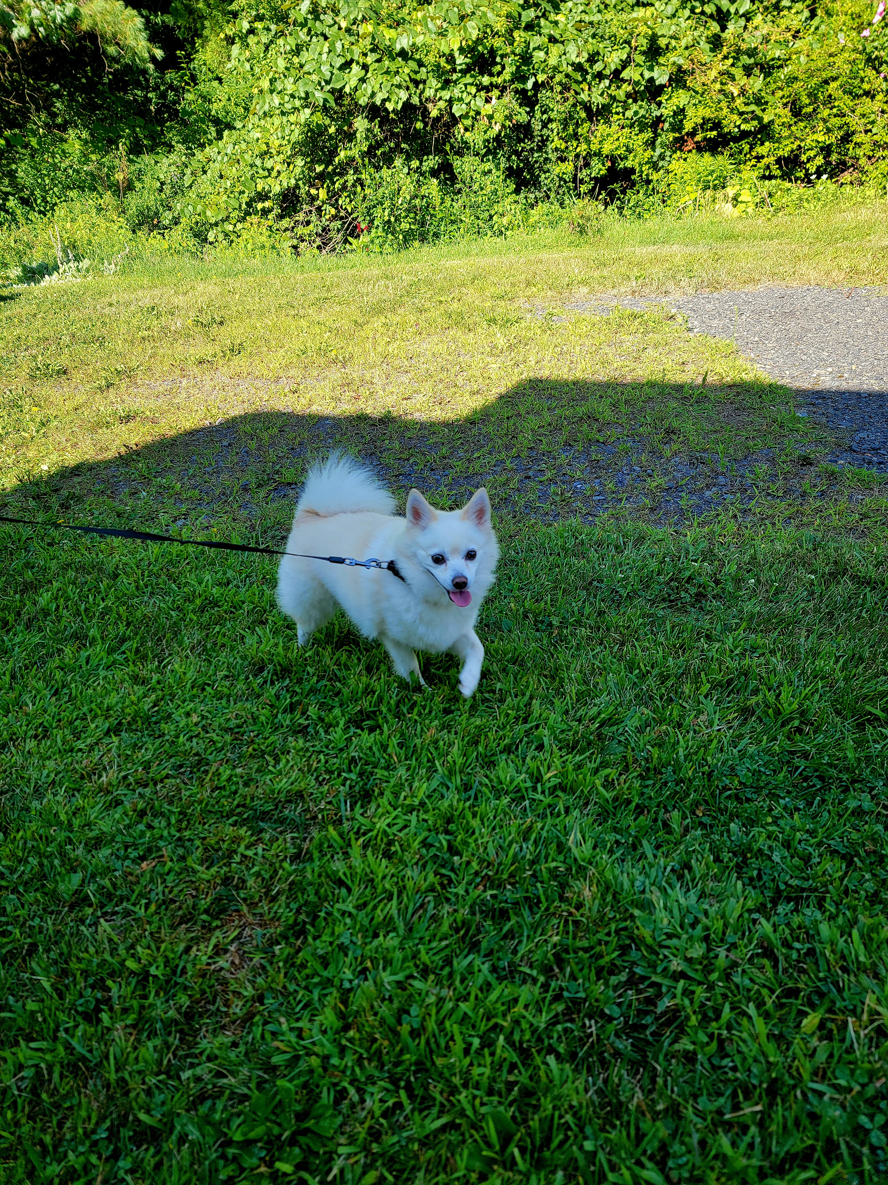 Heart Of Poconos RV Campsite