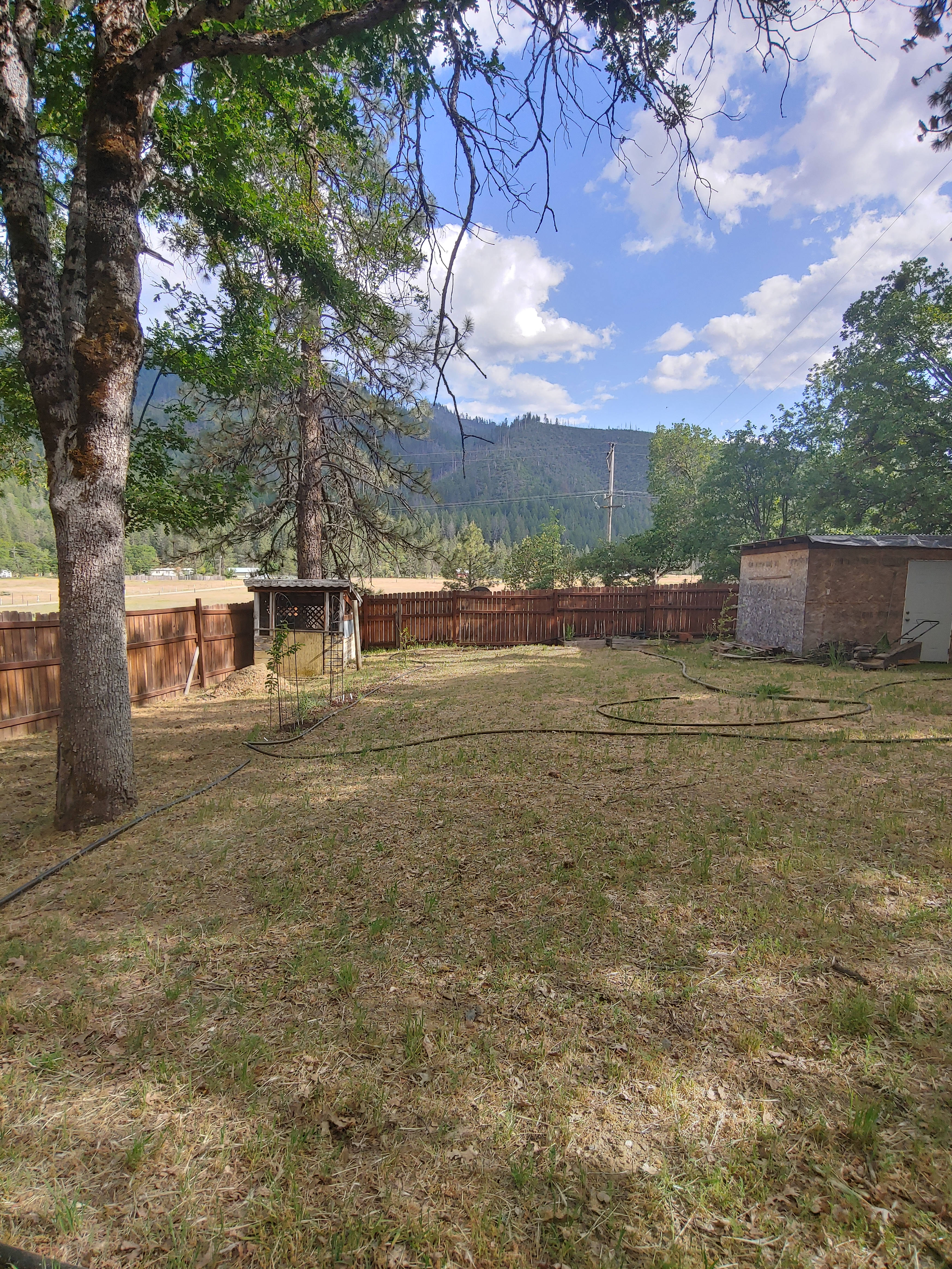 The Grove of Mystic Moon Tree