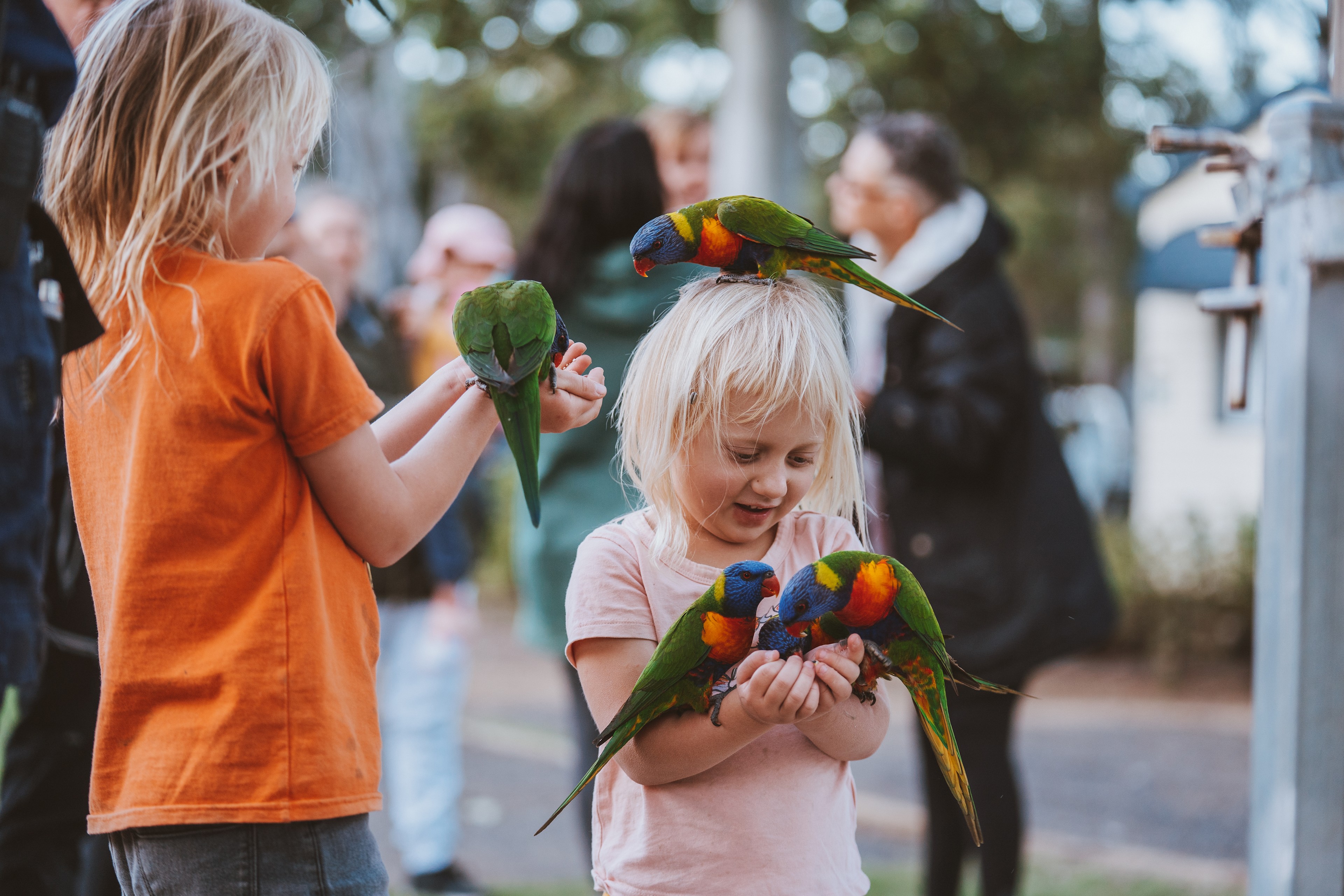 BIG4 Cania Gorge Holiday Park