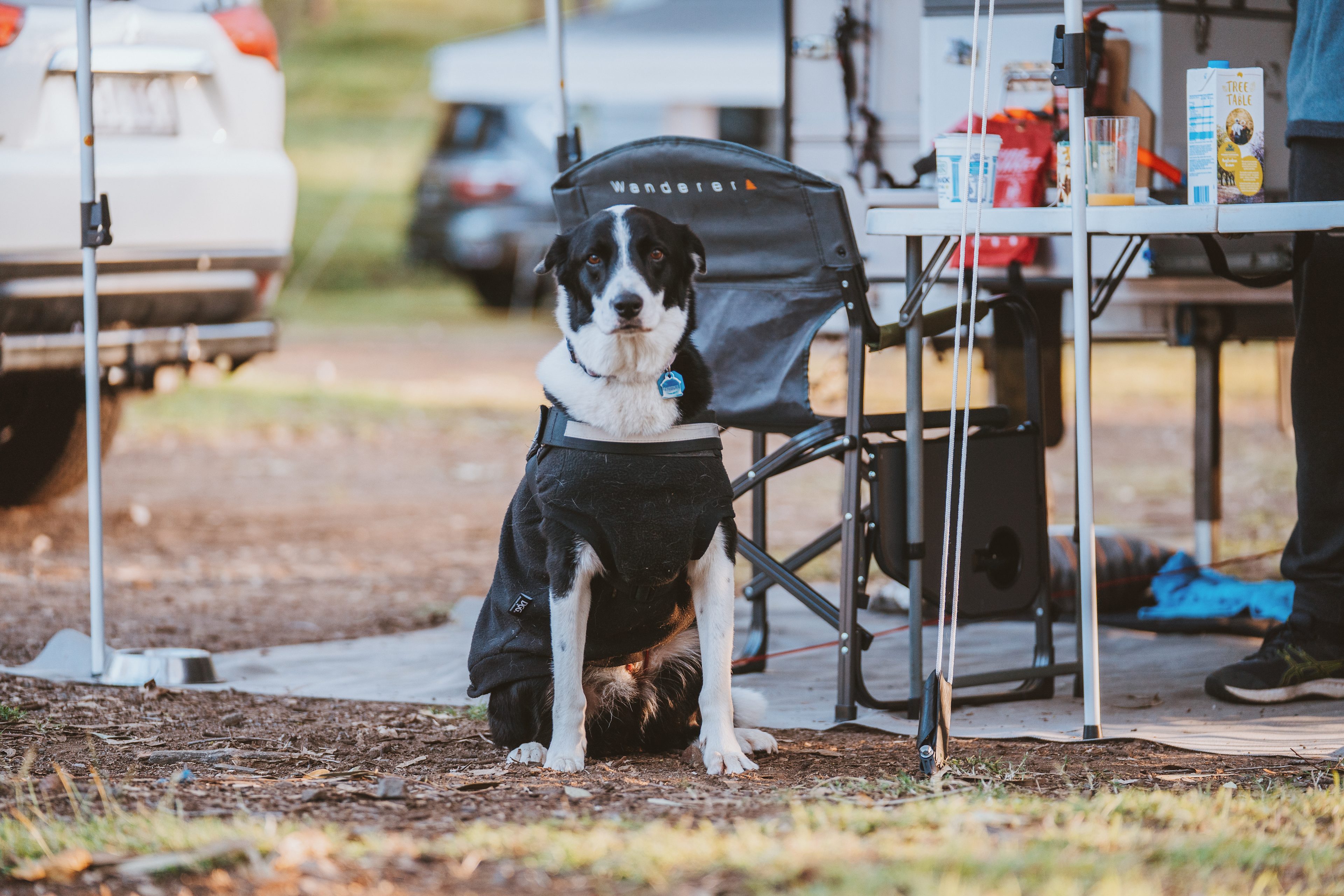 BIG4 Cania Gorge Holiday Park