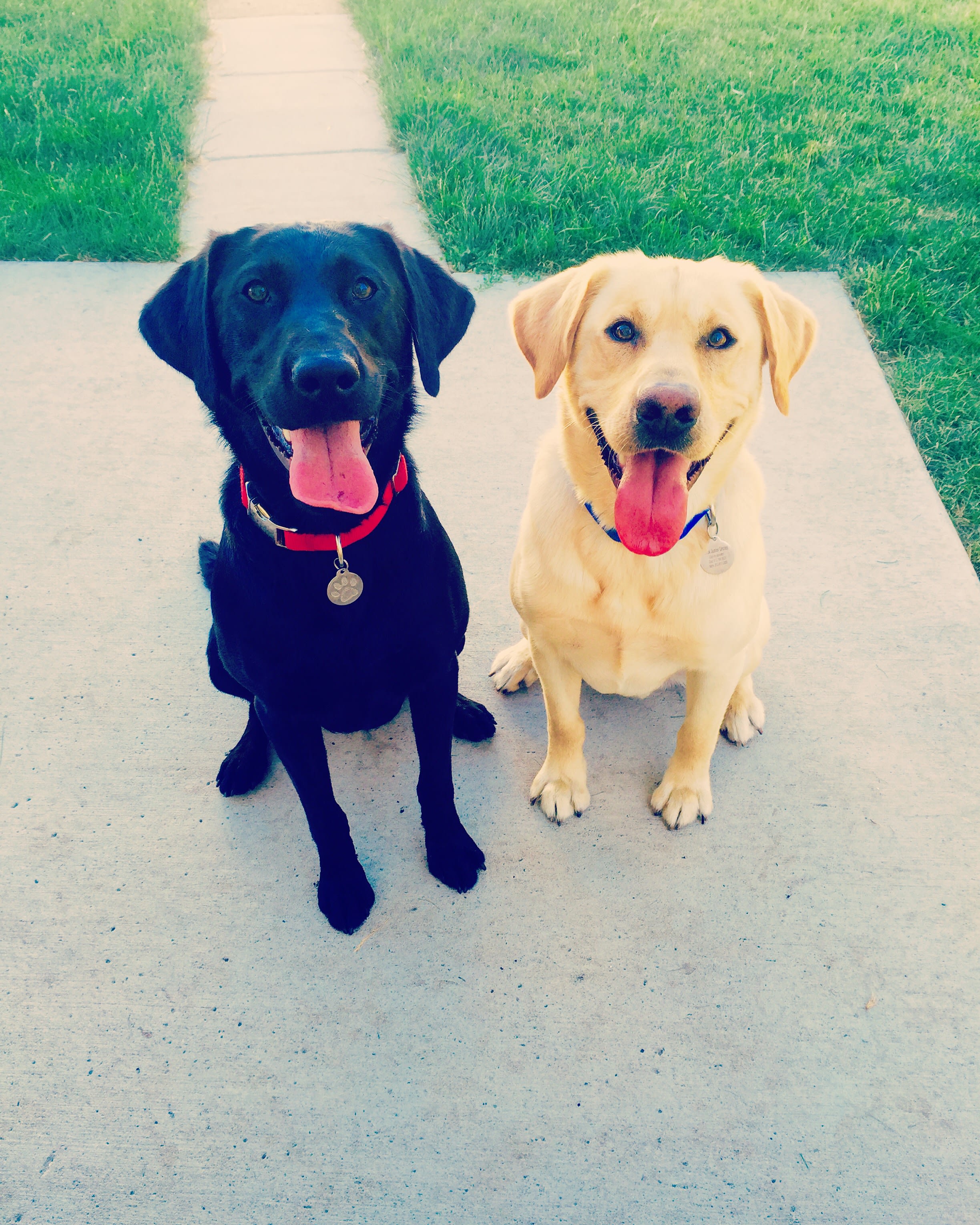 Gnome Park Campground