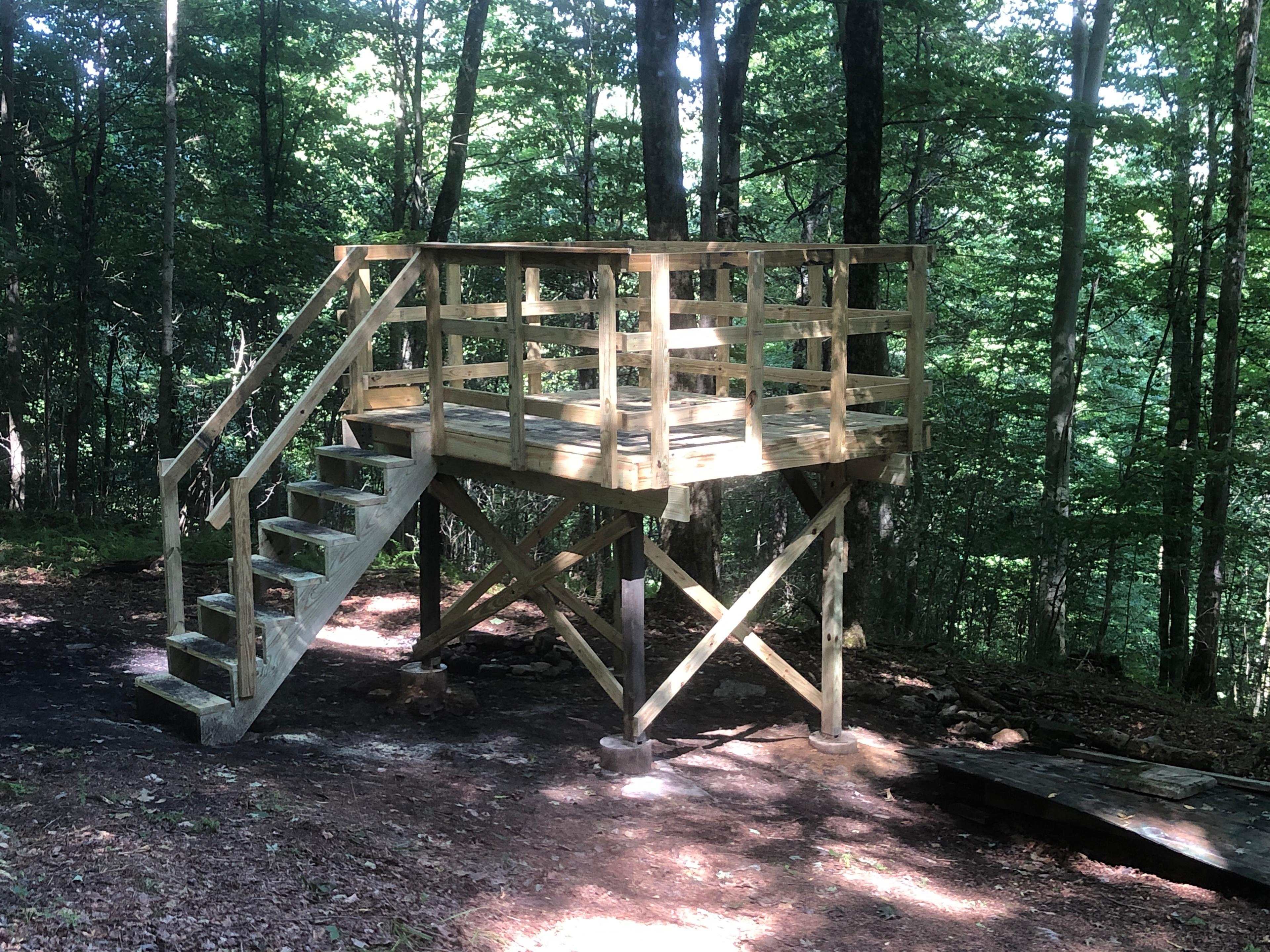 Chappel Hill Tree Farm