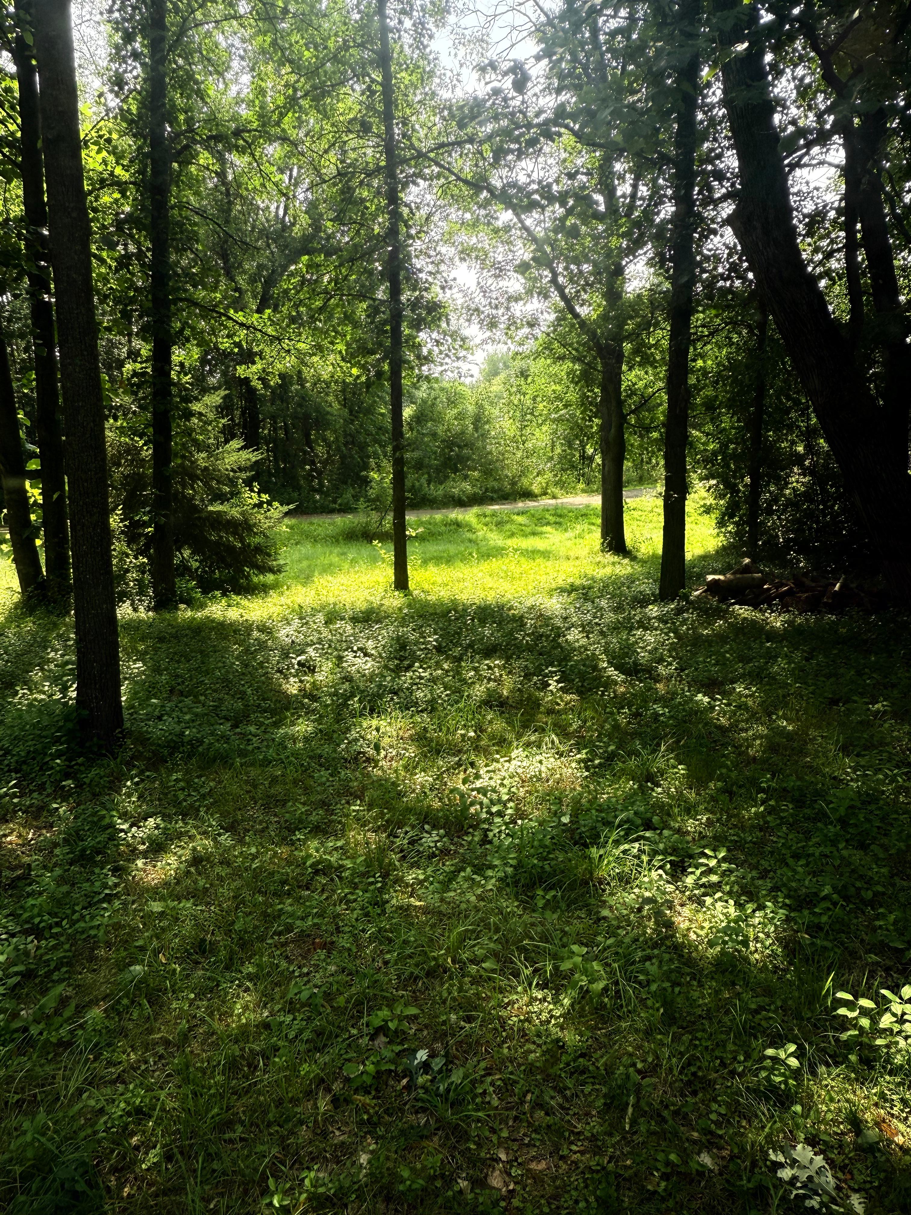 The Outpost Collective