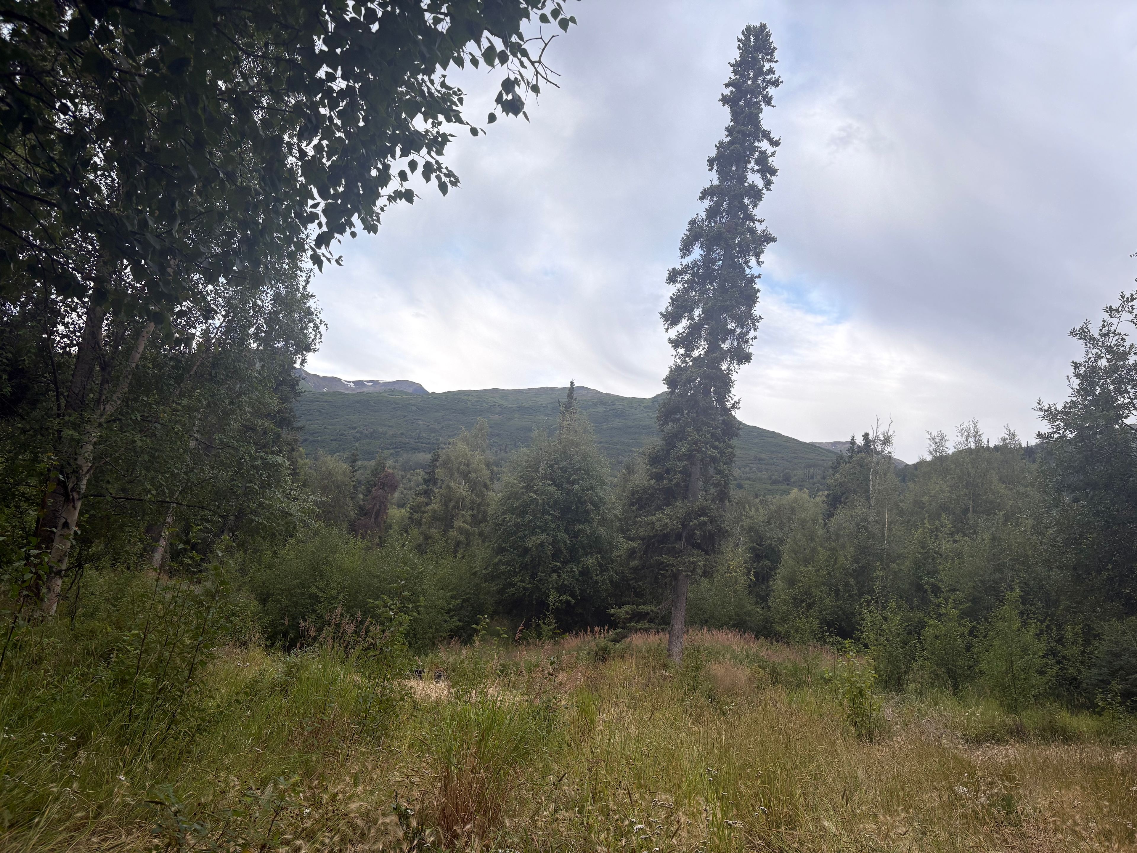 High Acres
