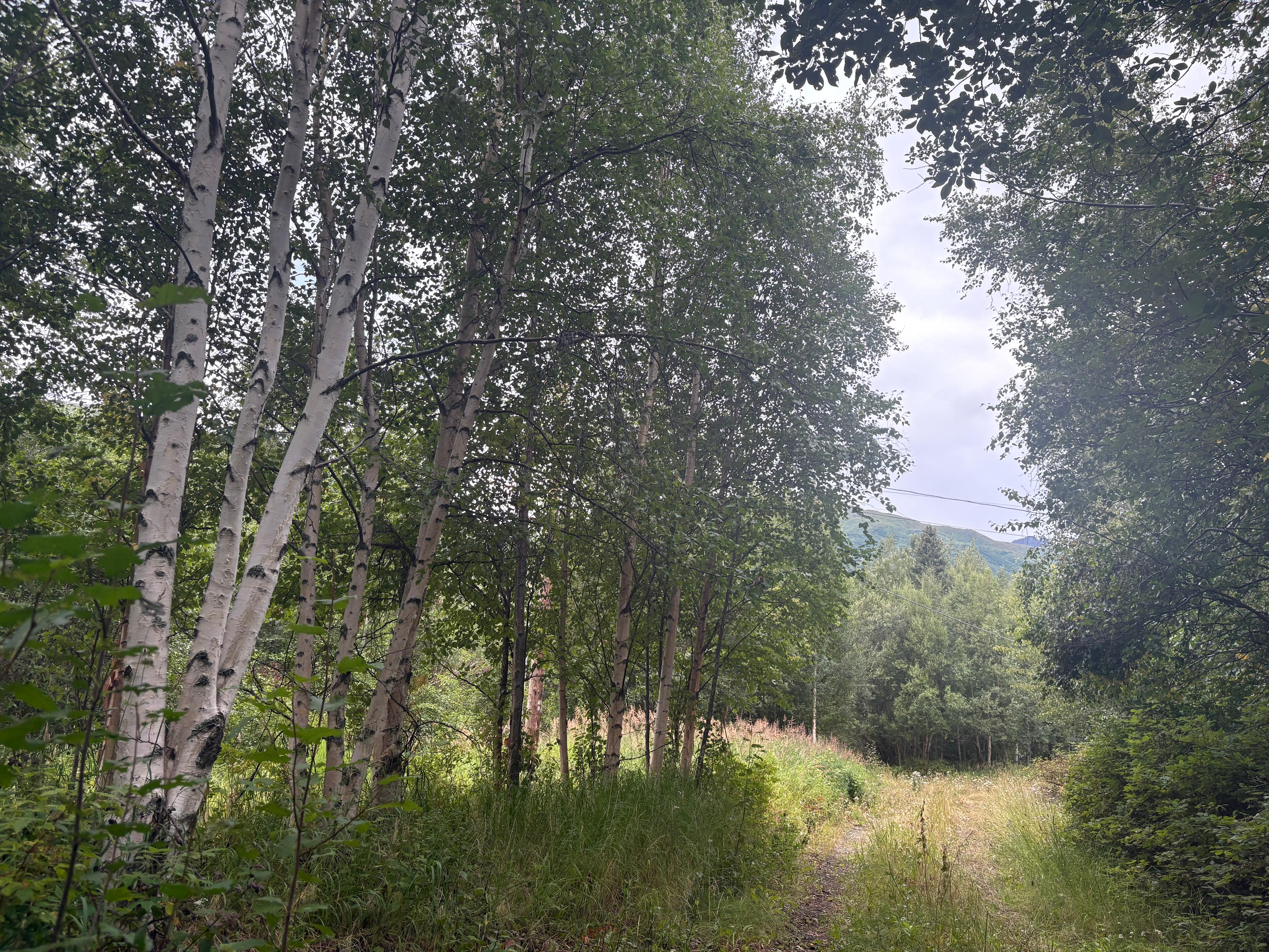 High Acres