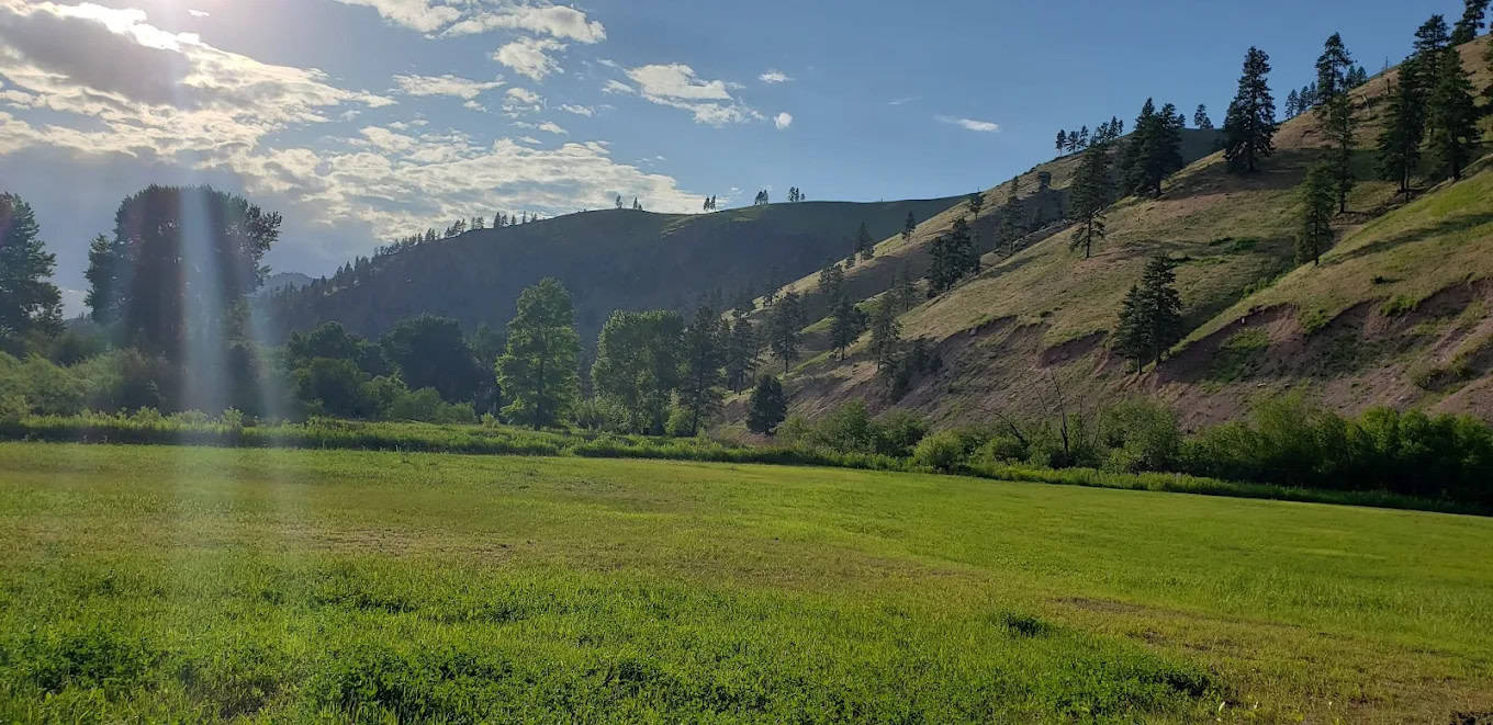 Bearmouth Chalet and RV Park