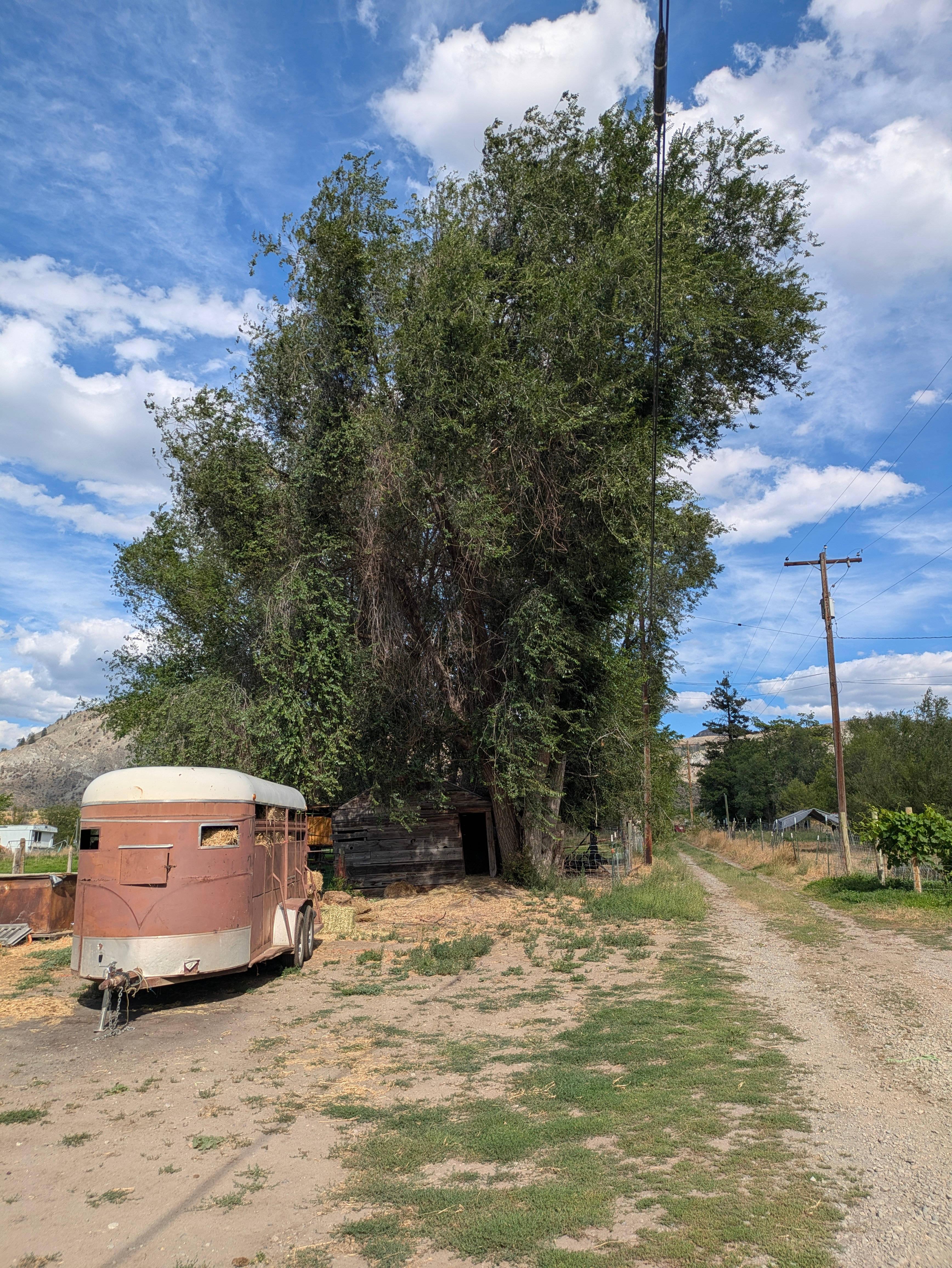 Little Farm Campground