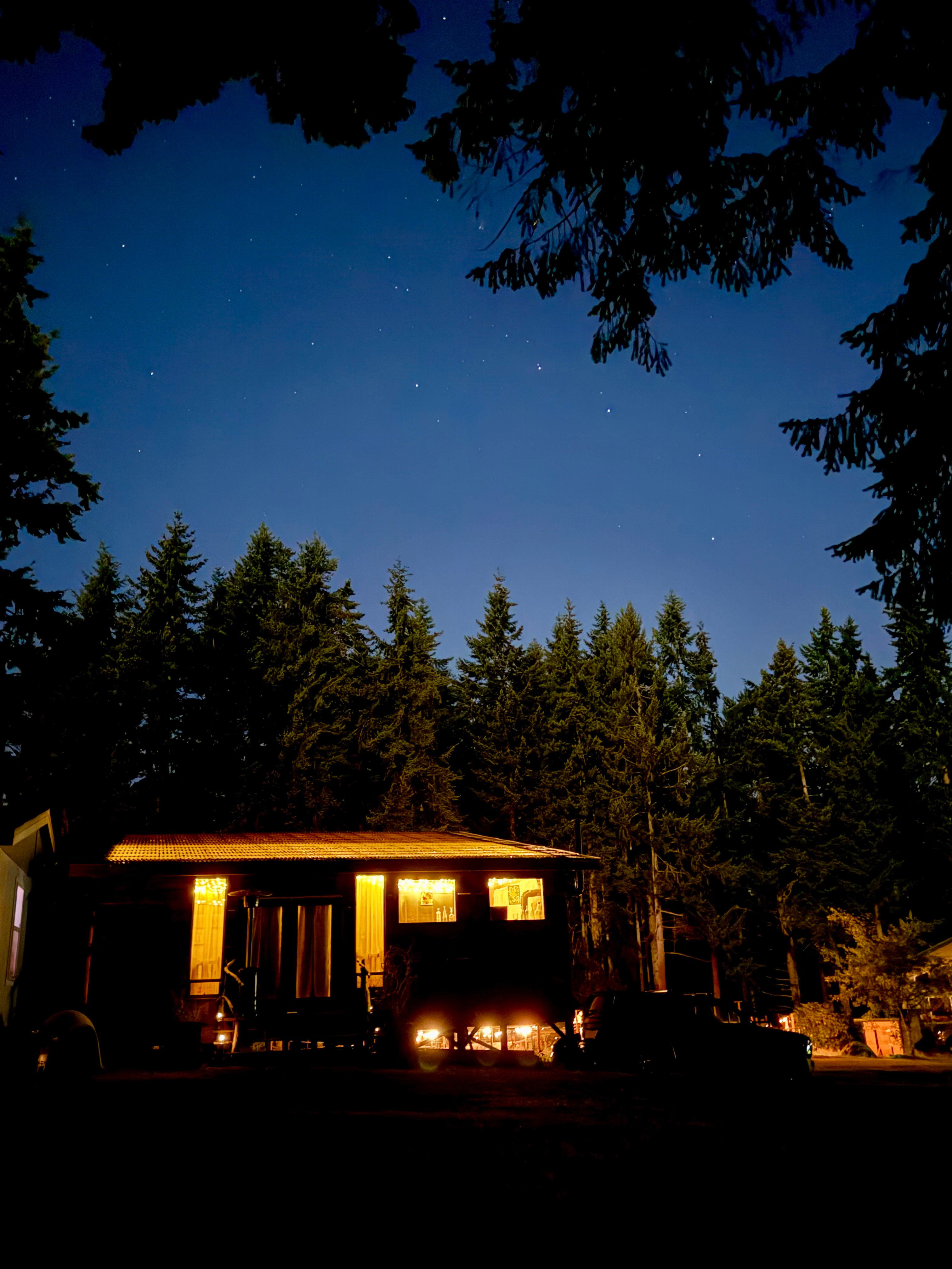 Wild Hearts on Whidbey