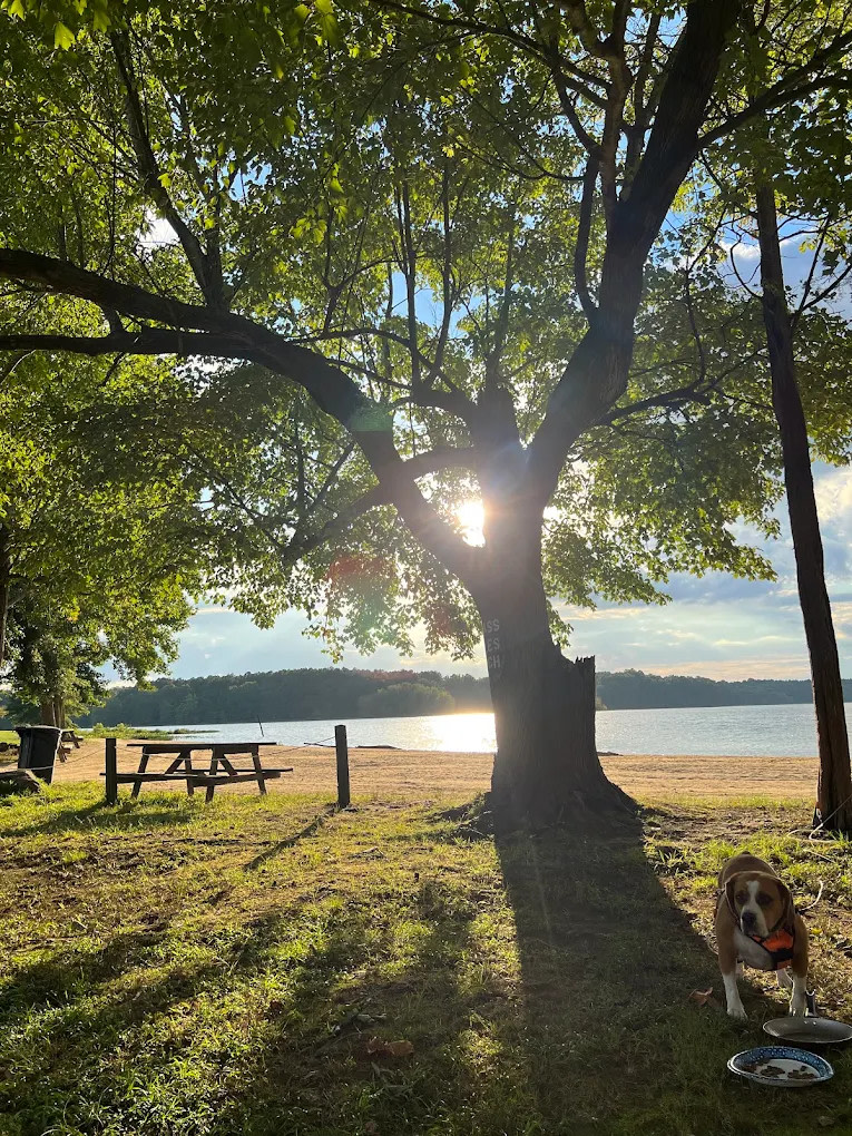 Lake Chesdin Campground