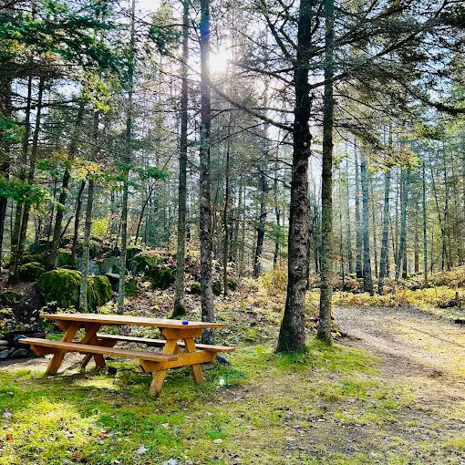 Knife Island Campground