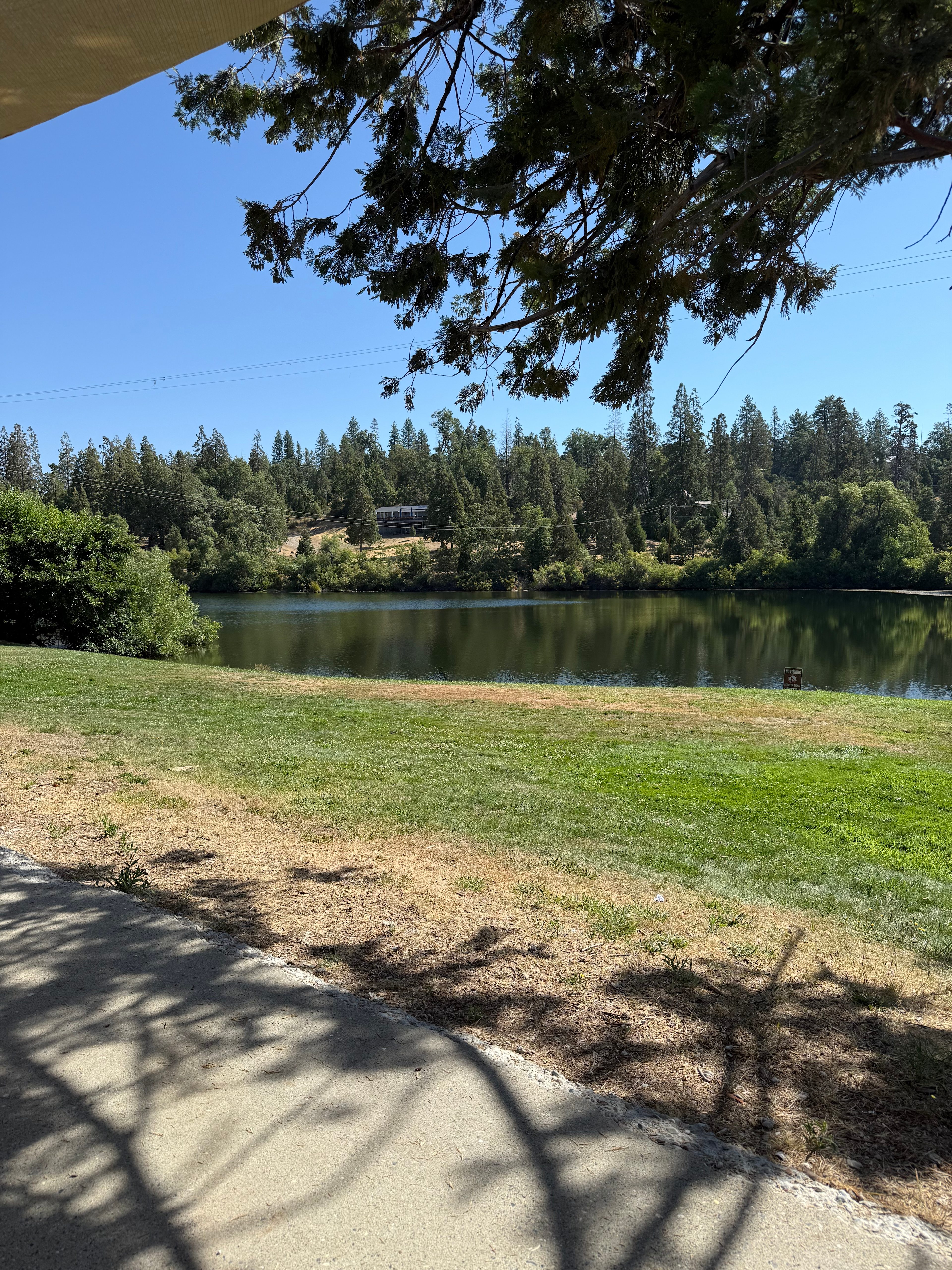Sierra National Forest Camp