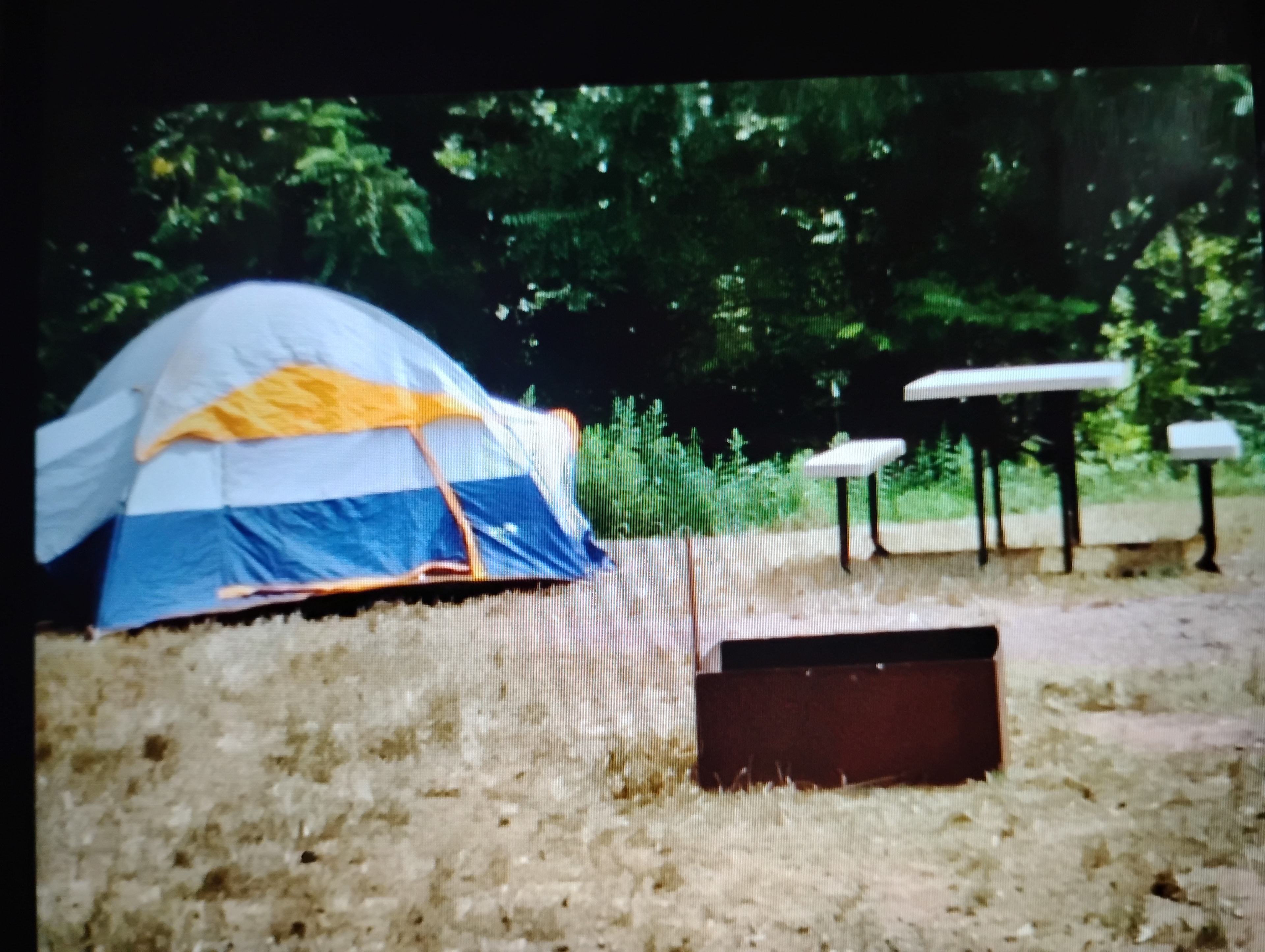 Picnic table and fire ring, tent not included