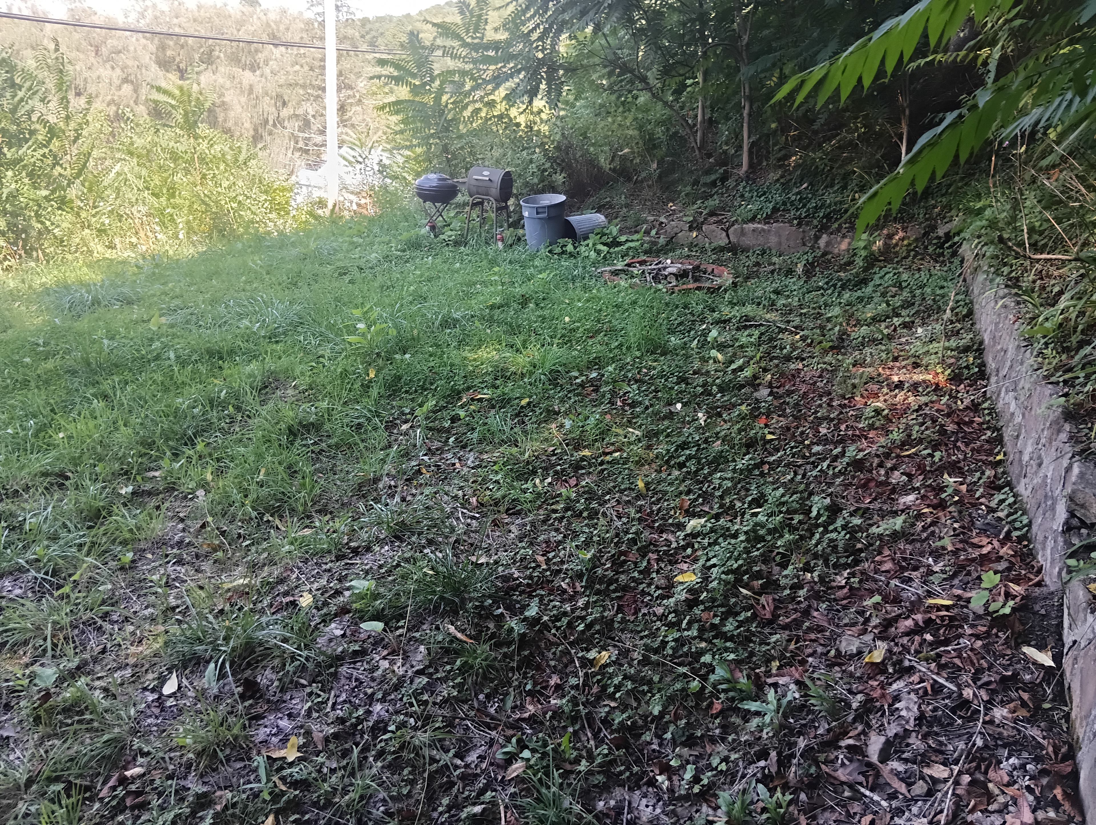 BullTail Hollow Campout