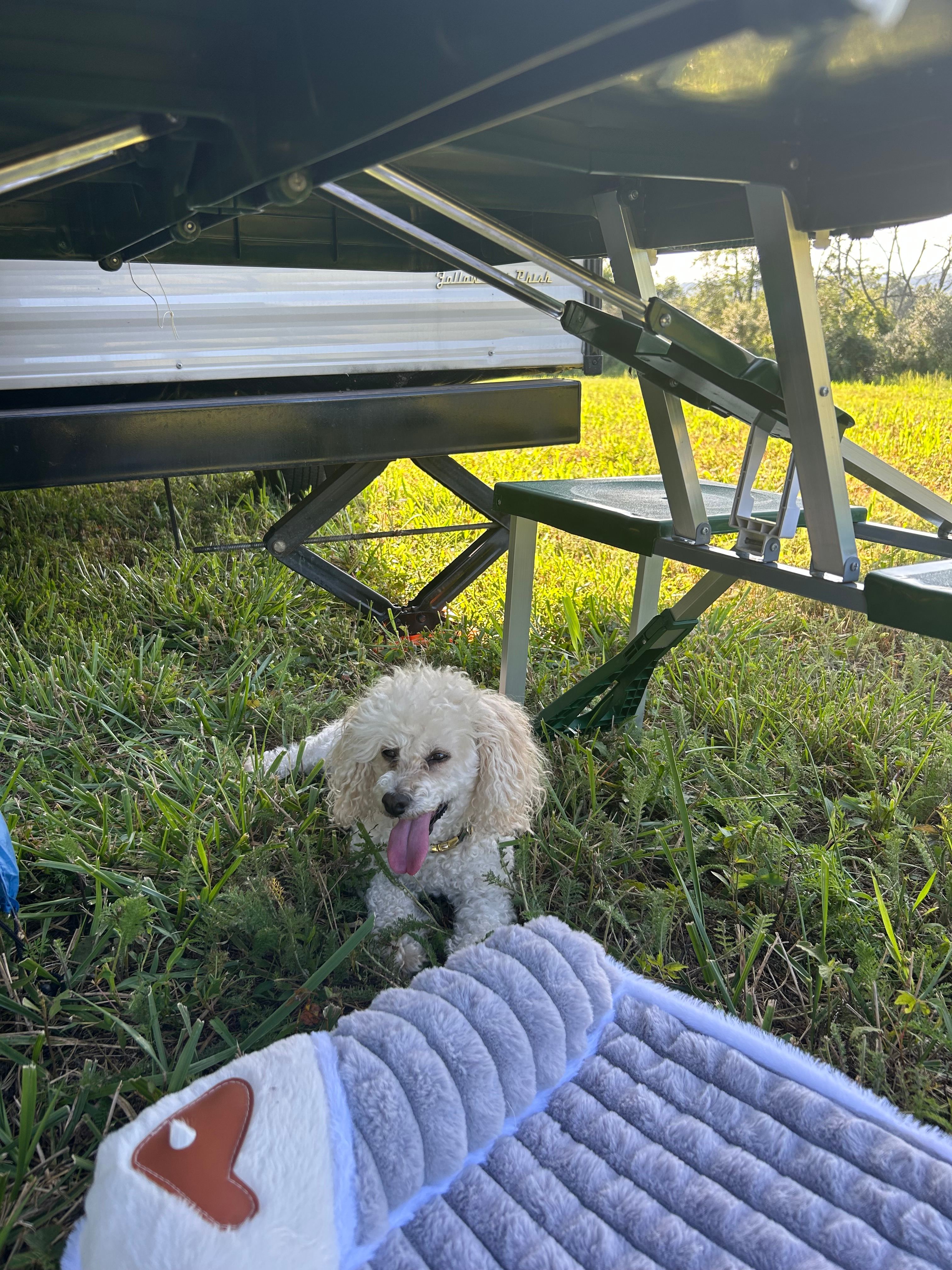 33 Acre Farm And Retreat