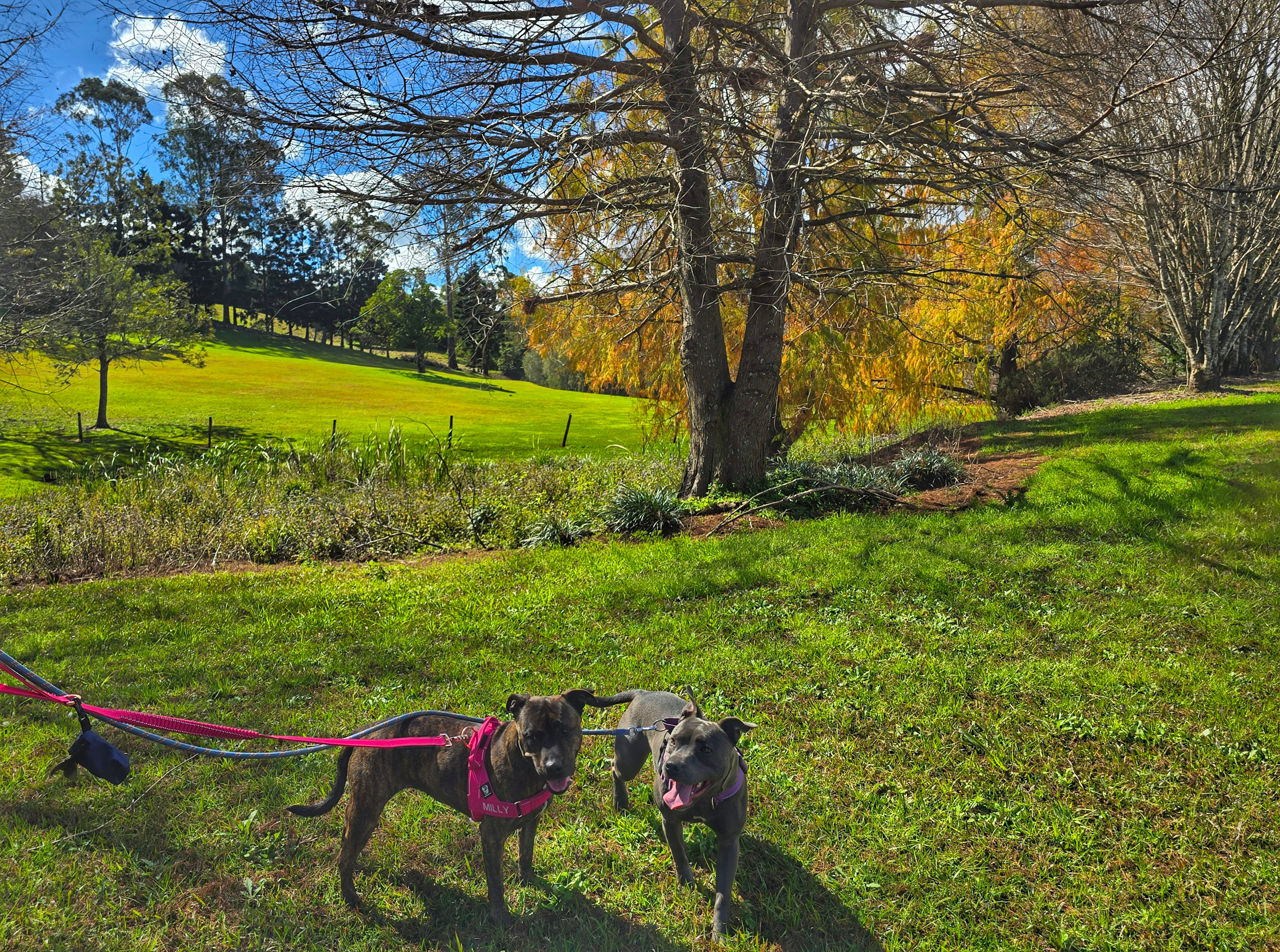 Parkers Place Gardens