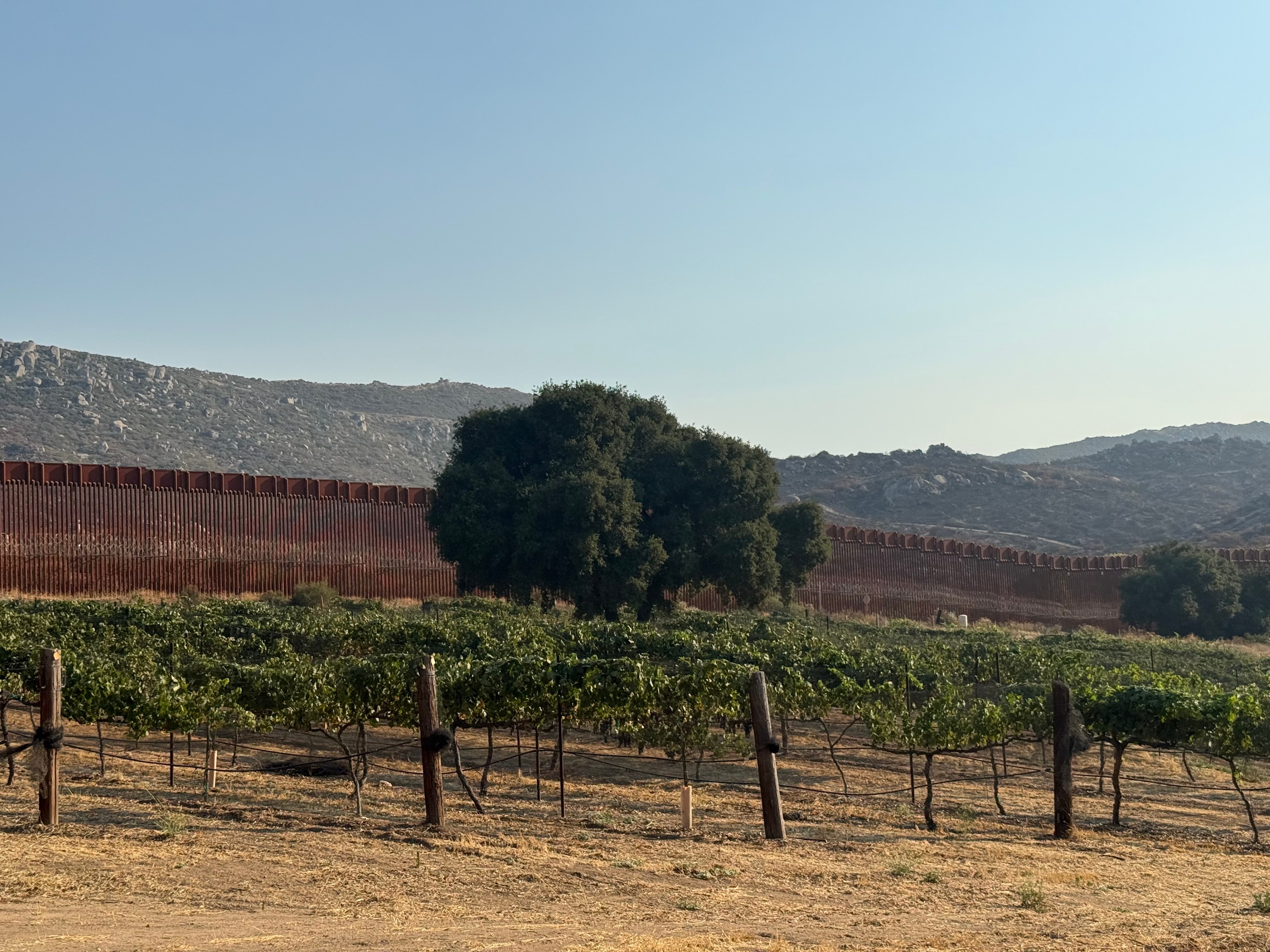 Campo Creek Vineyards