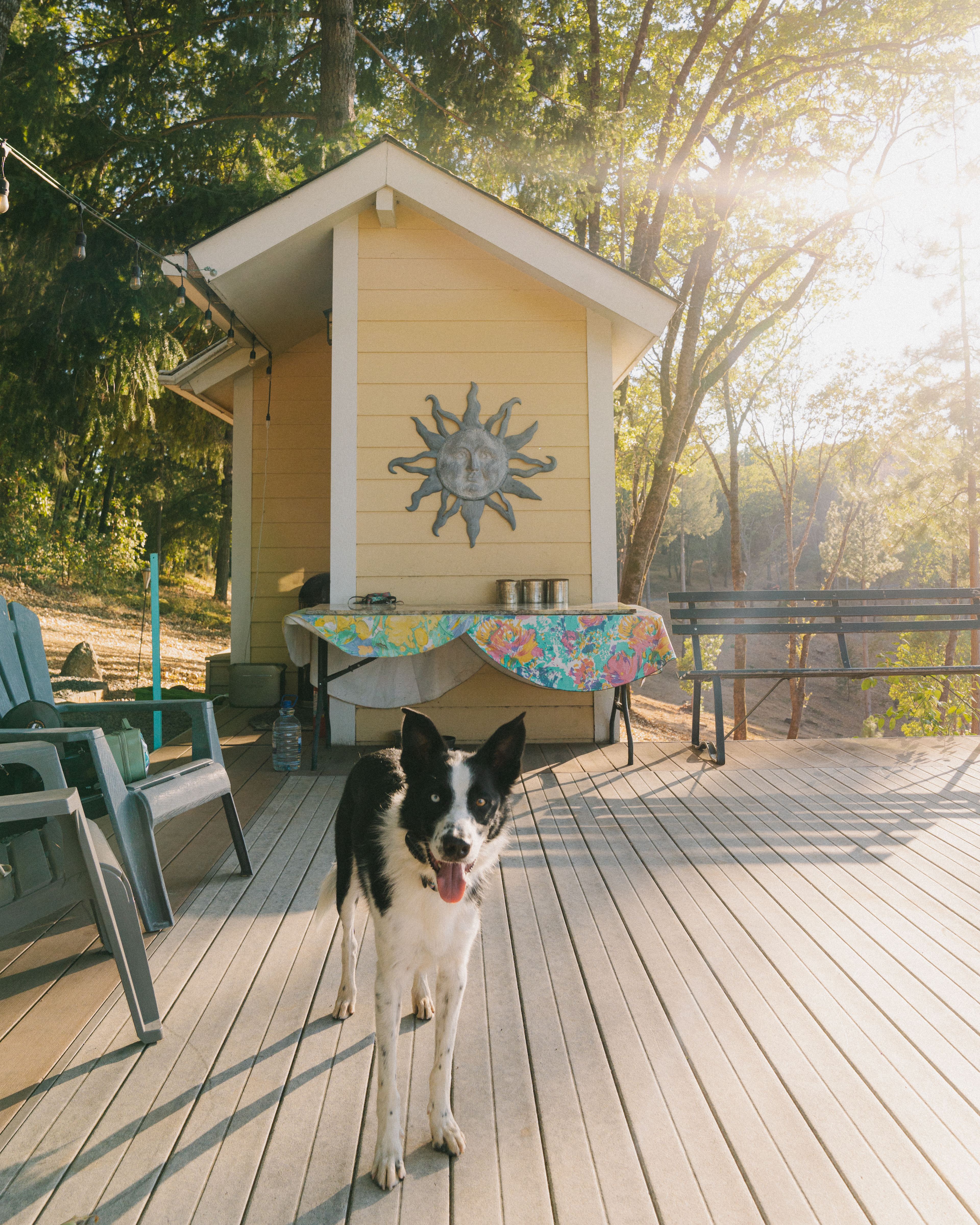 PlatForm of Pleasure outdoor area 