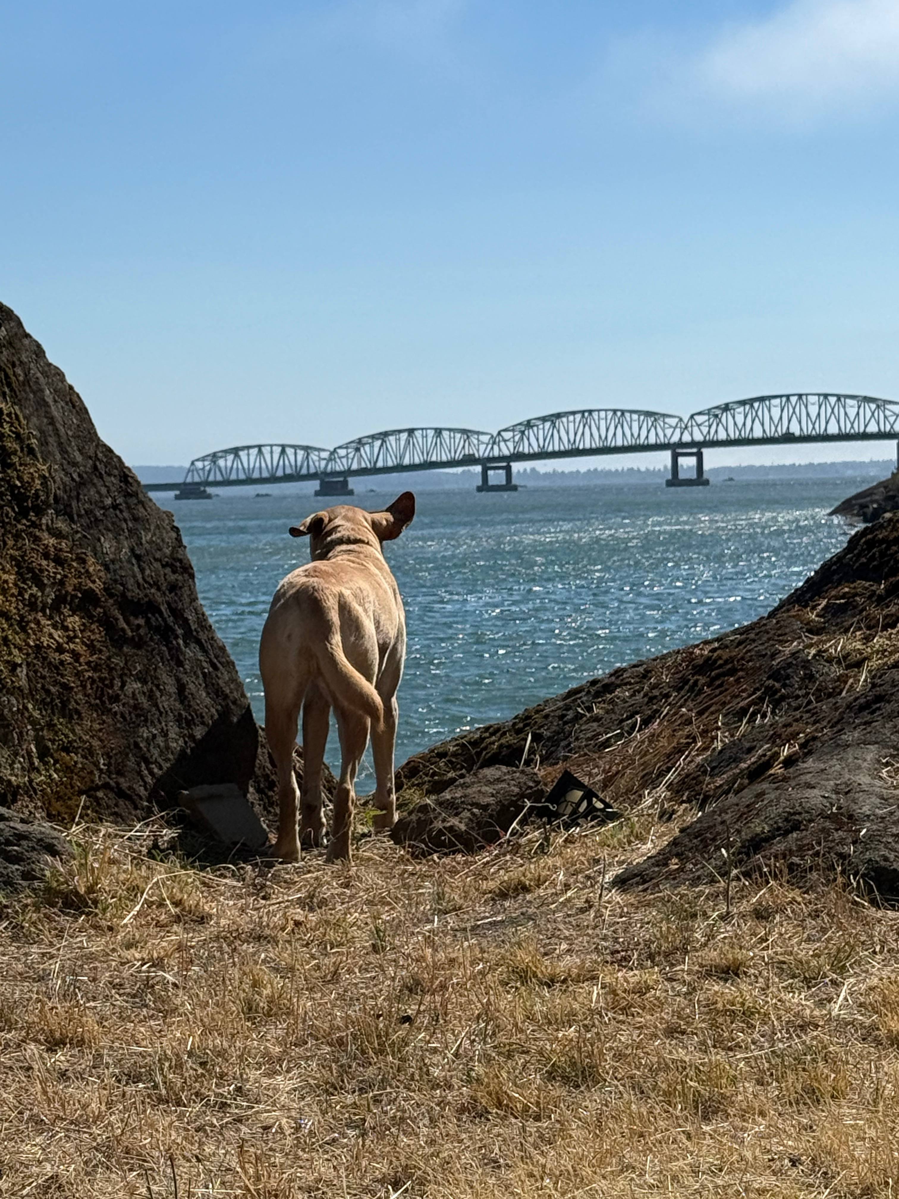 The Rock On The Columbia