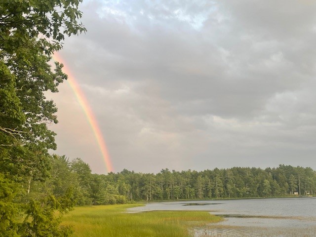Cabin of the Woods at Tilden Pond