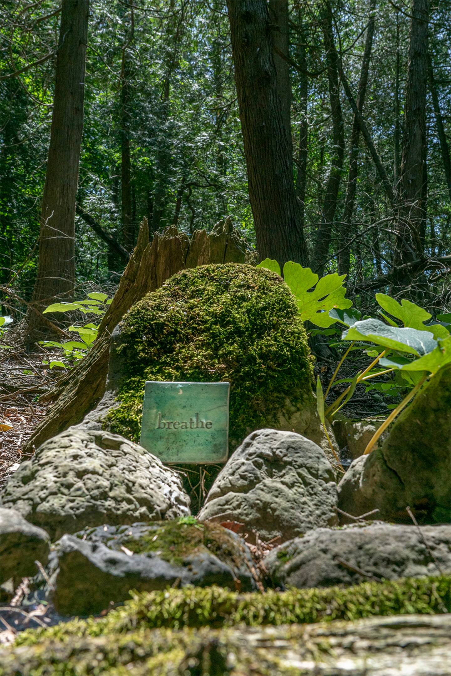 Glamping Riverside Yurt