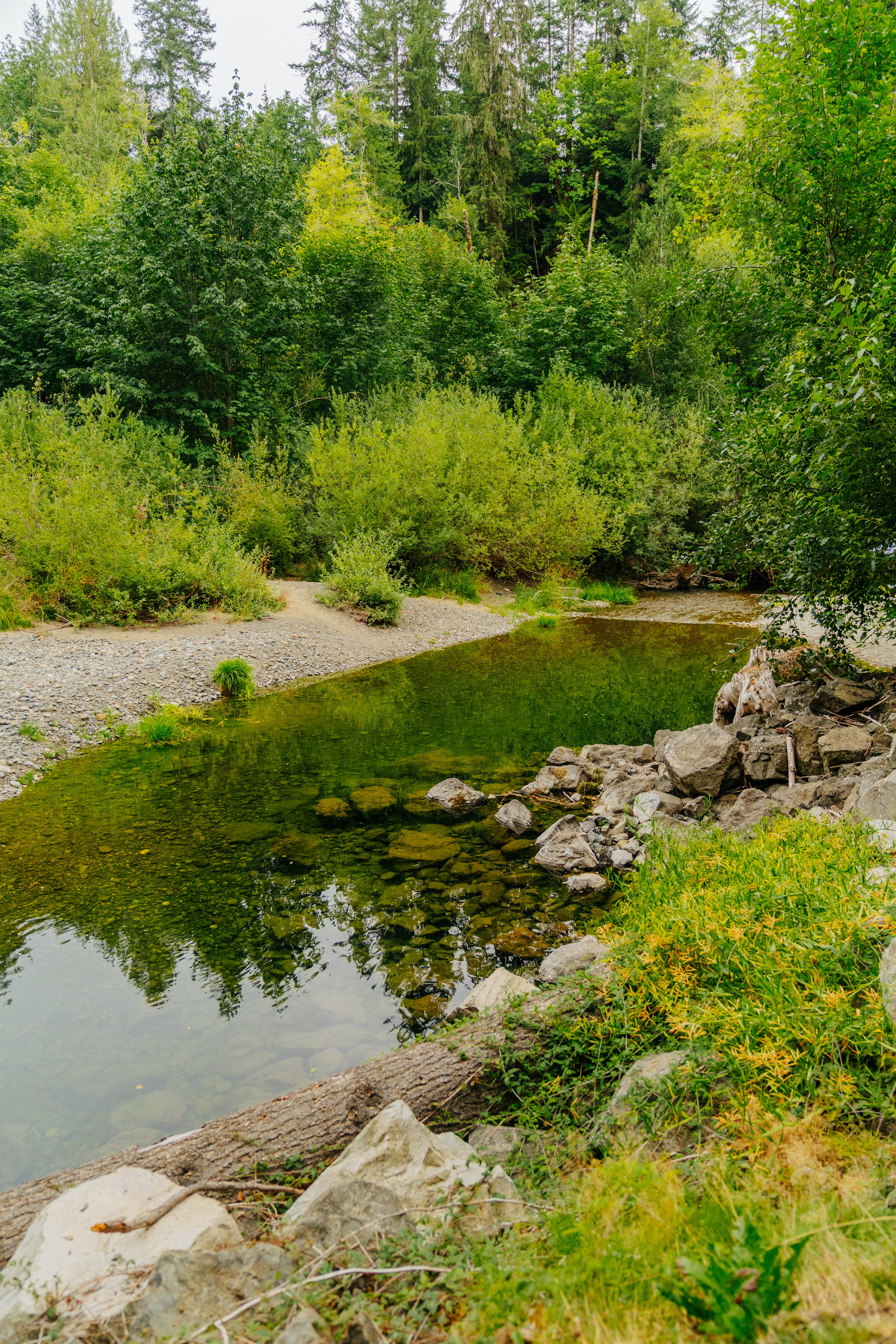 Tahuya River Lodge Campground