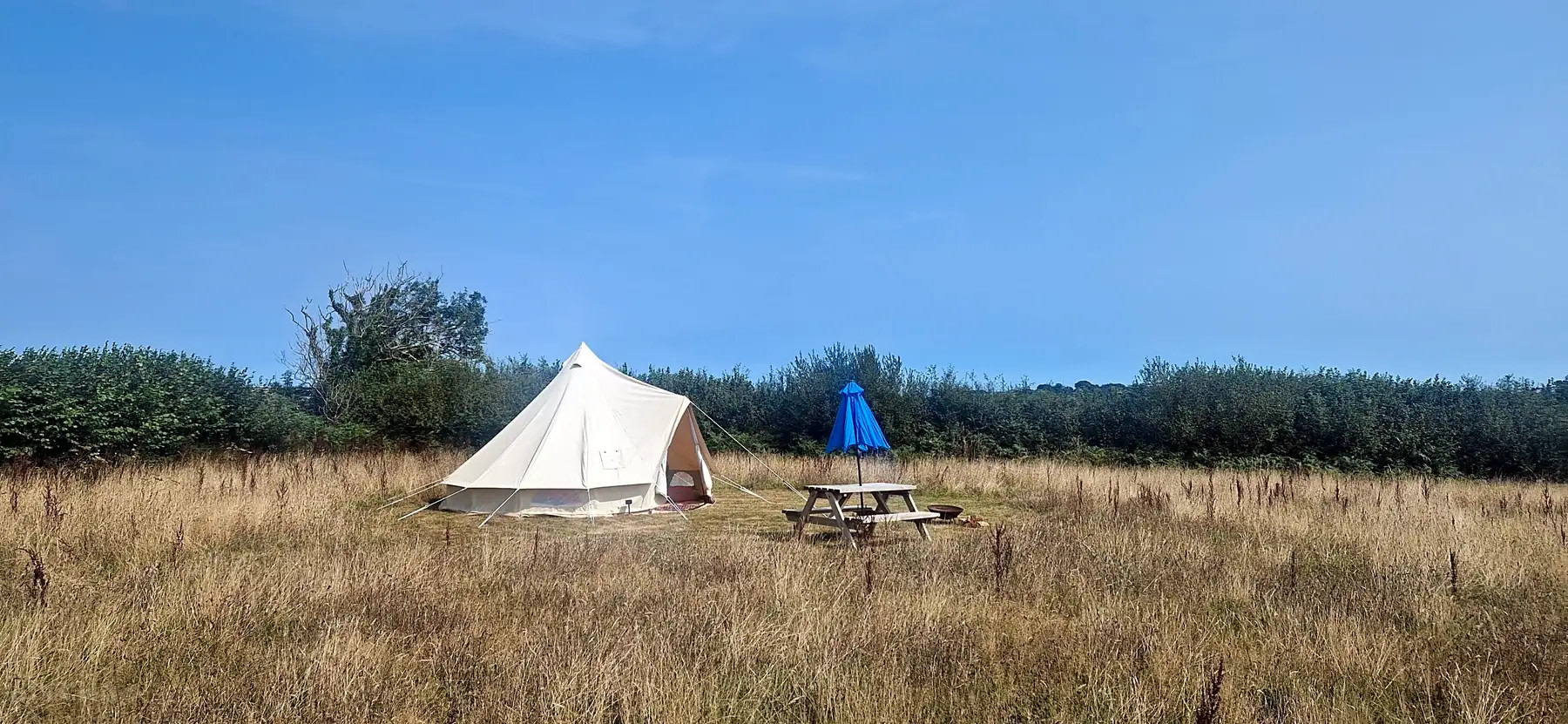 OutStanding In Our Field Devon