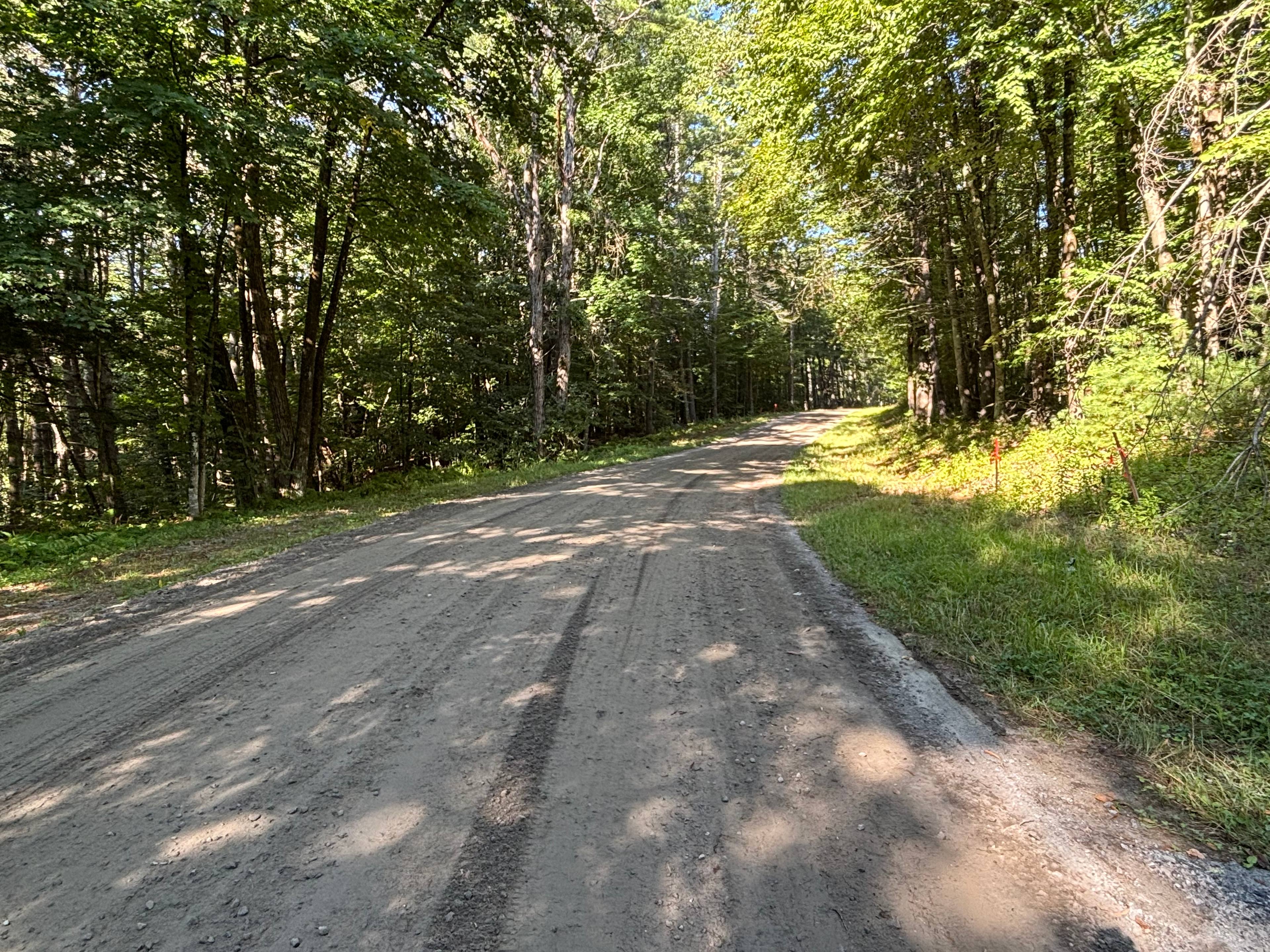 Rustic Adirondack Camp
