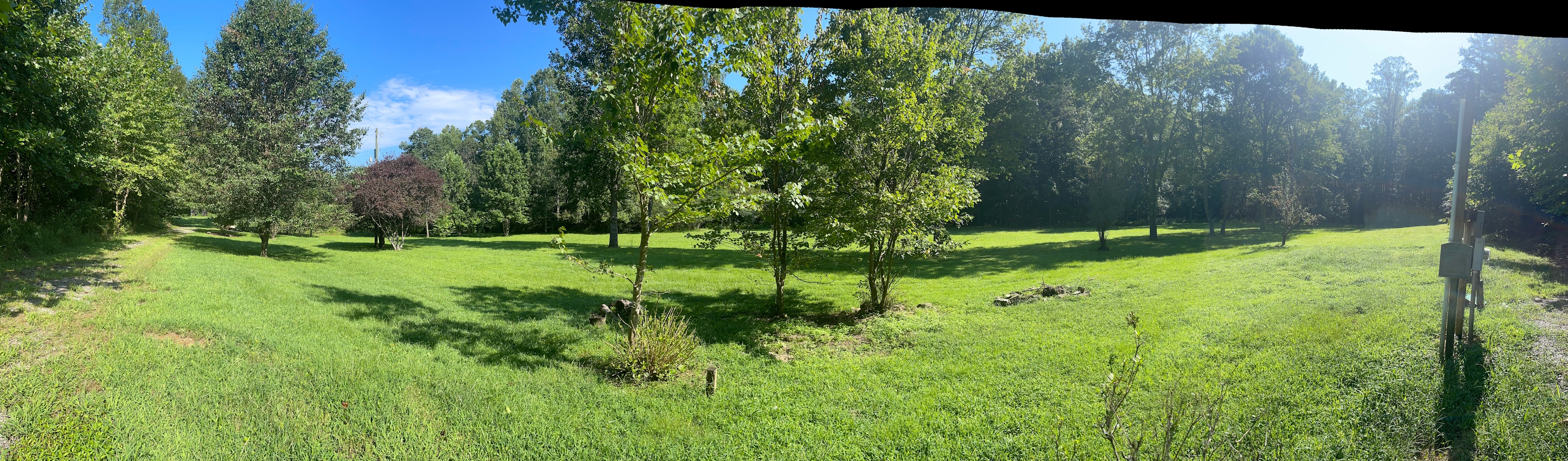 Panoramic view of site