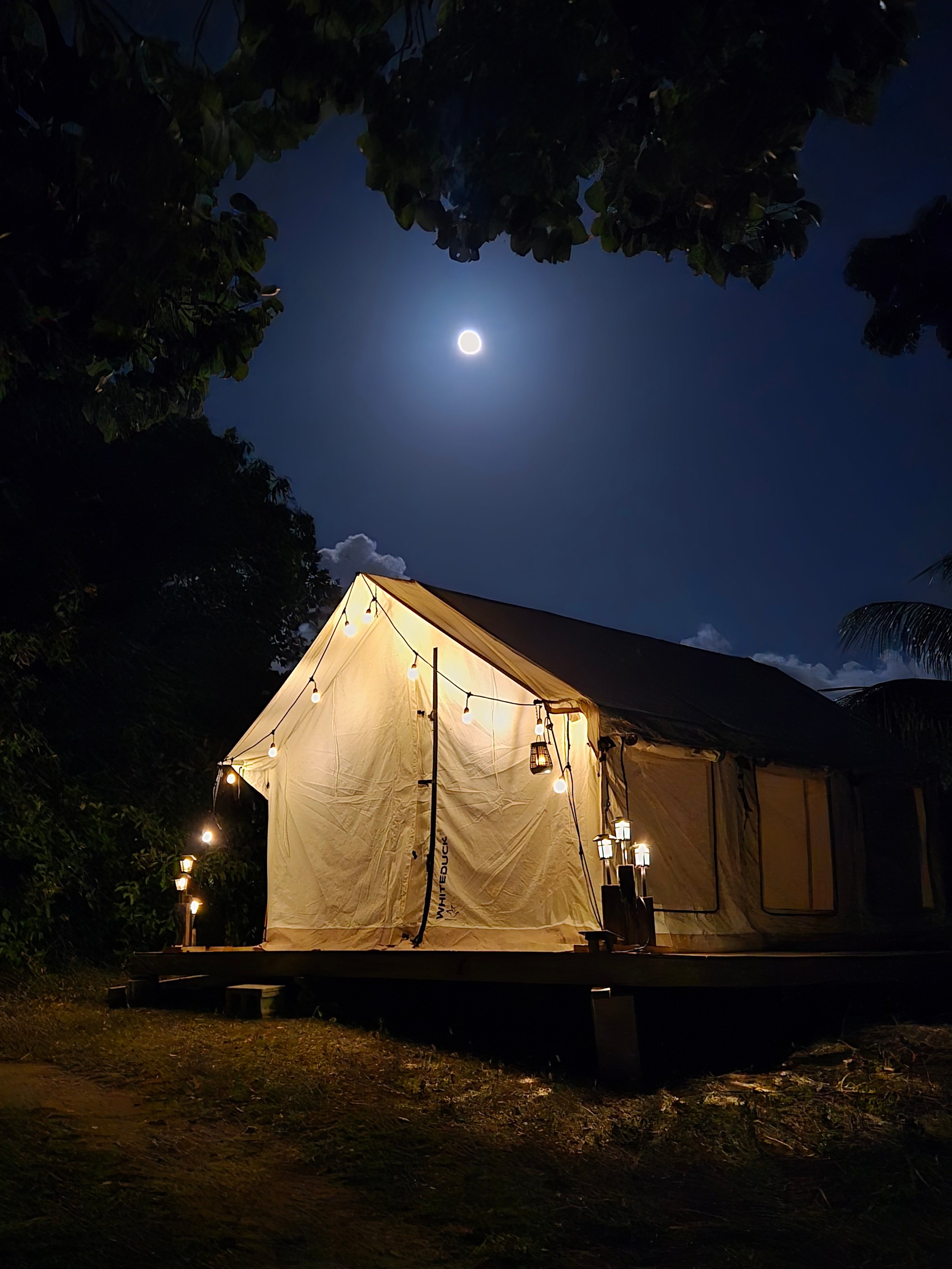 Under the full moon’s glow, a cozy glamping tent radiates warmth and serenity in the heart of nature.