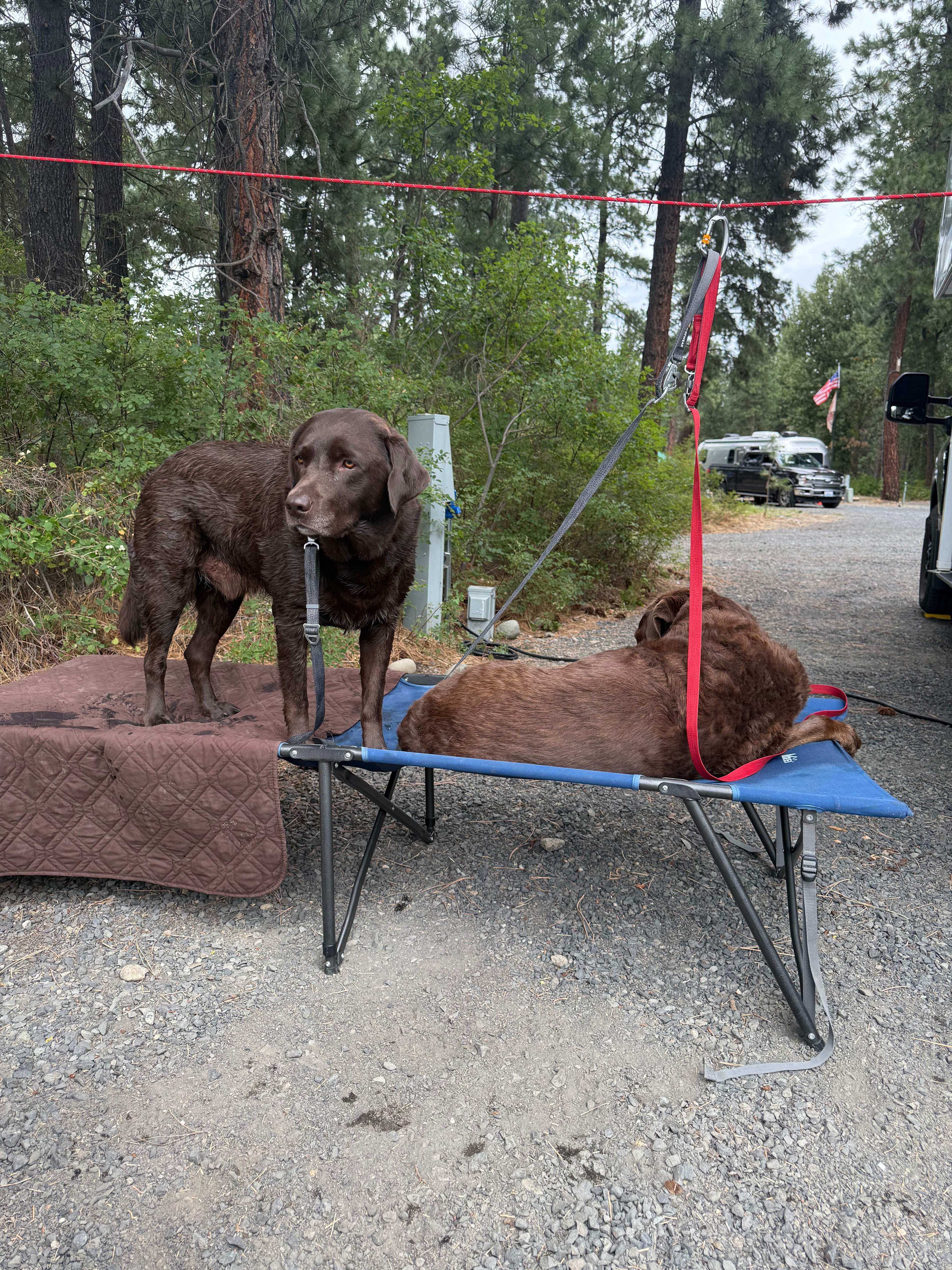 Whispering Pines RV Campground