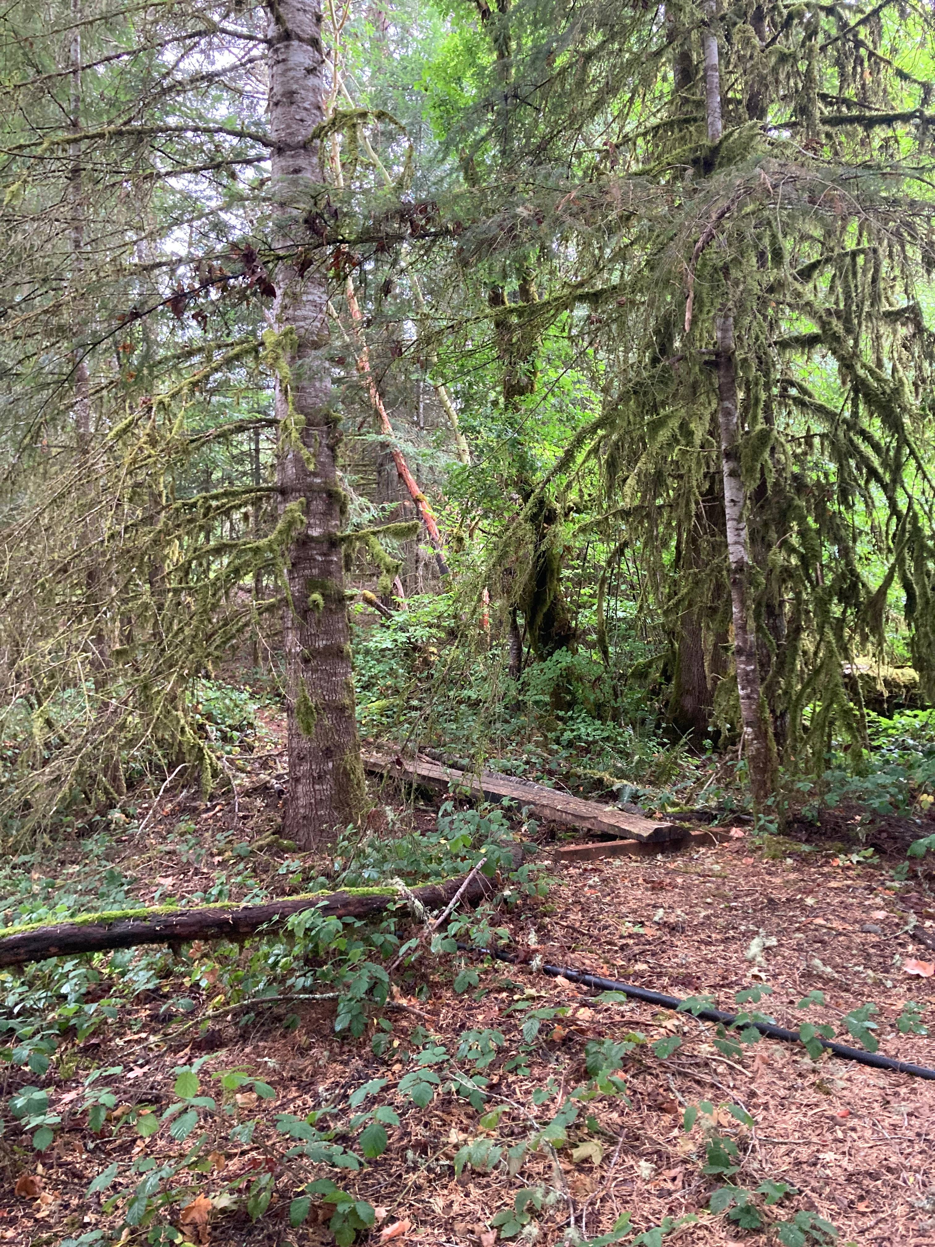 Eagle Mountain Farm and Retreat