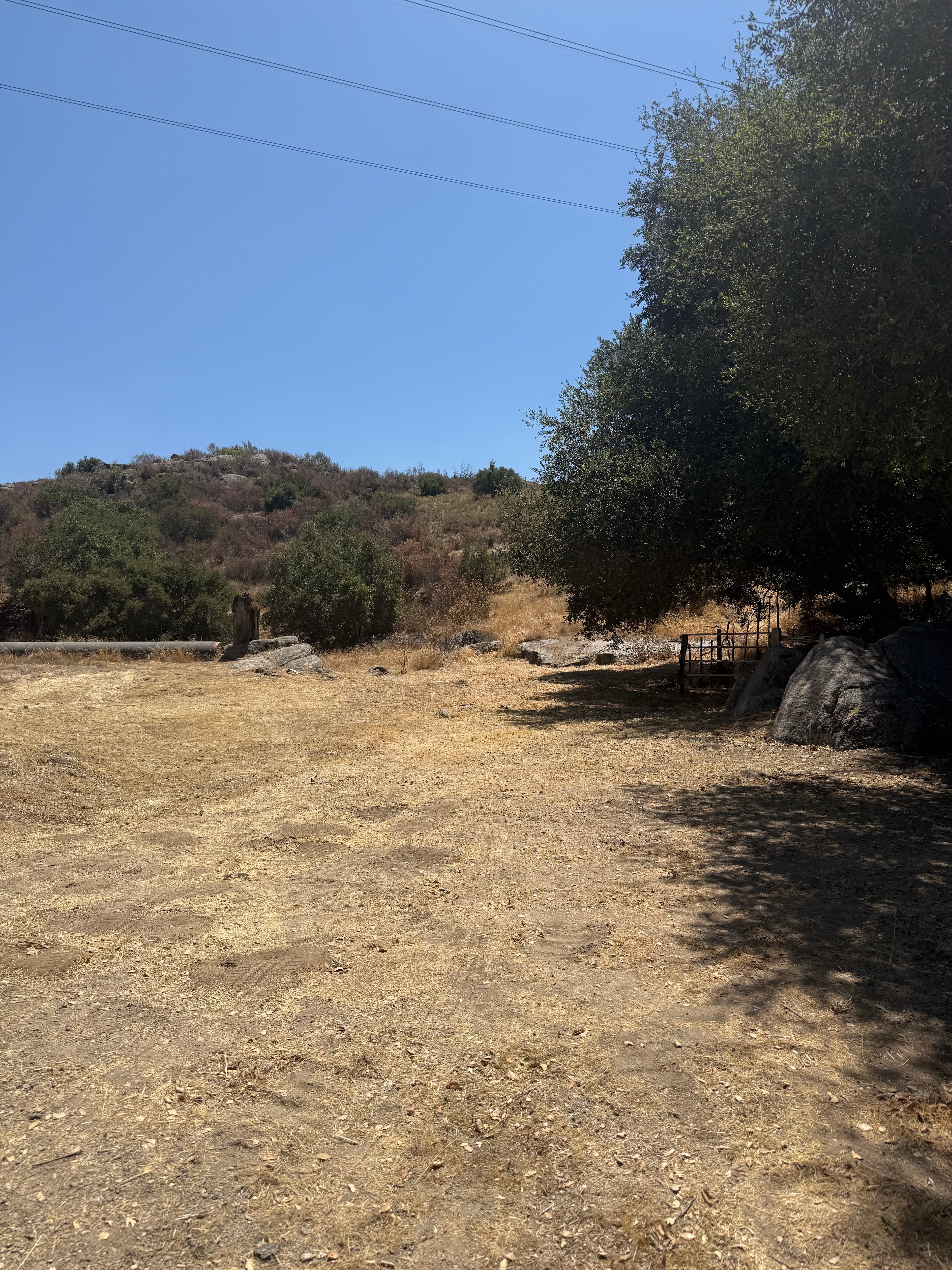 Campo Creek Vineyards