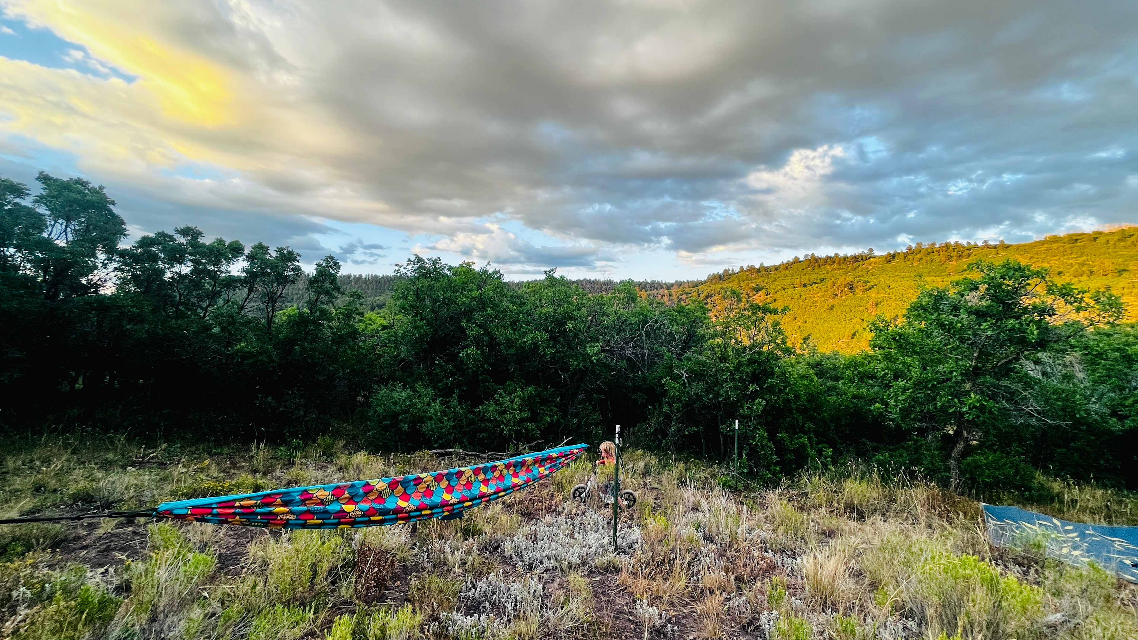 Hartwork Ranch