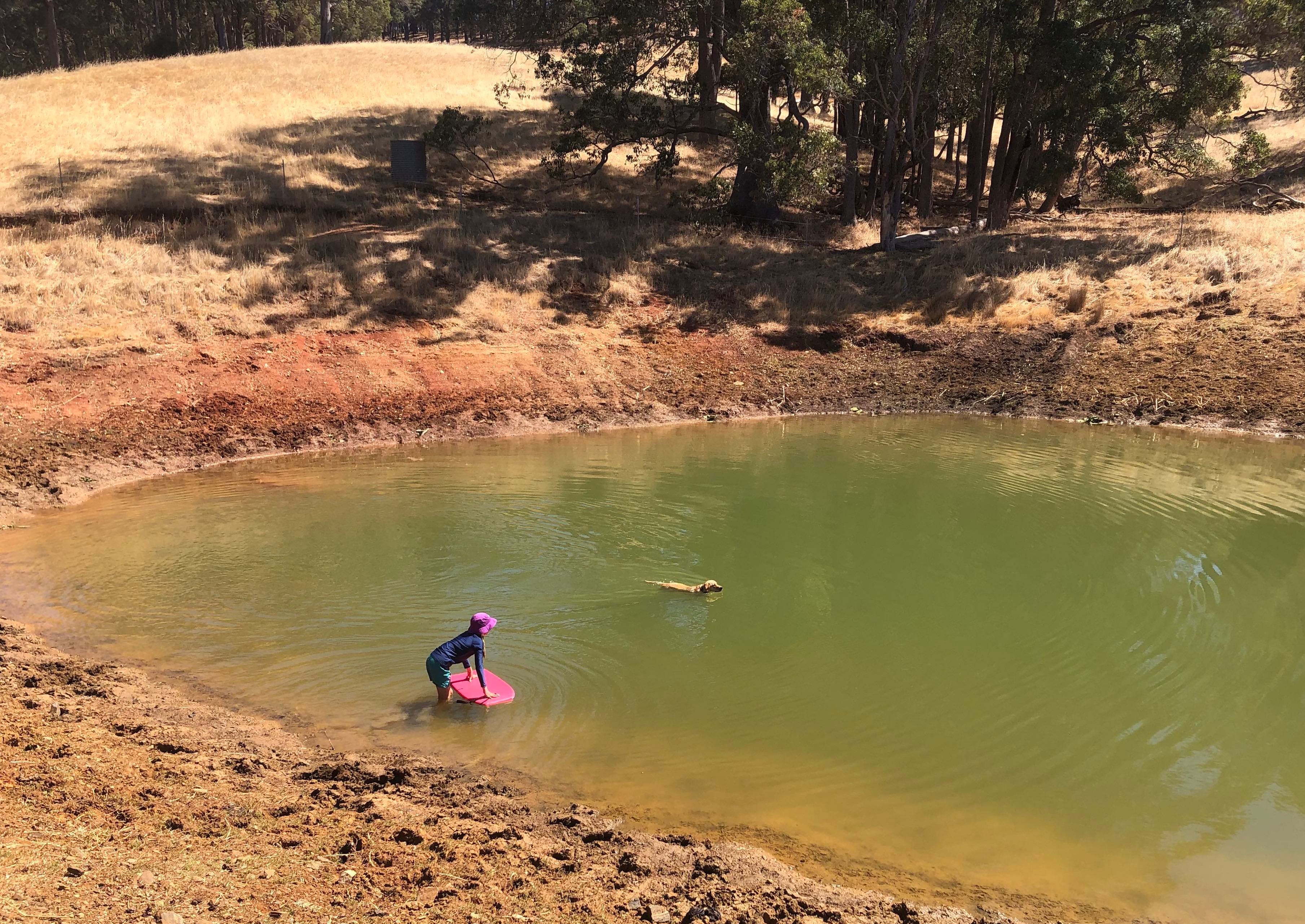 Dam at lowest point in summer (including one happy dog).