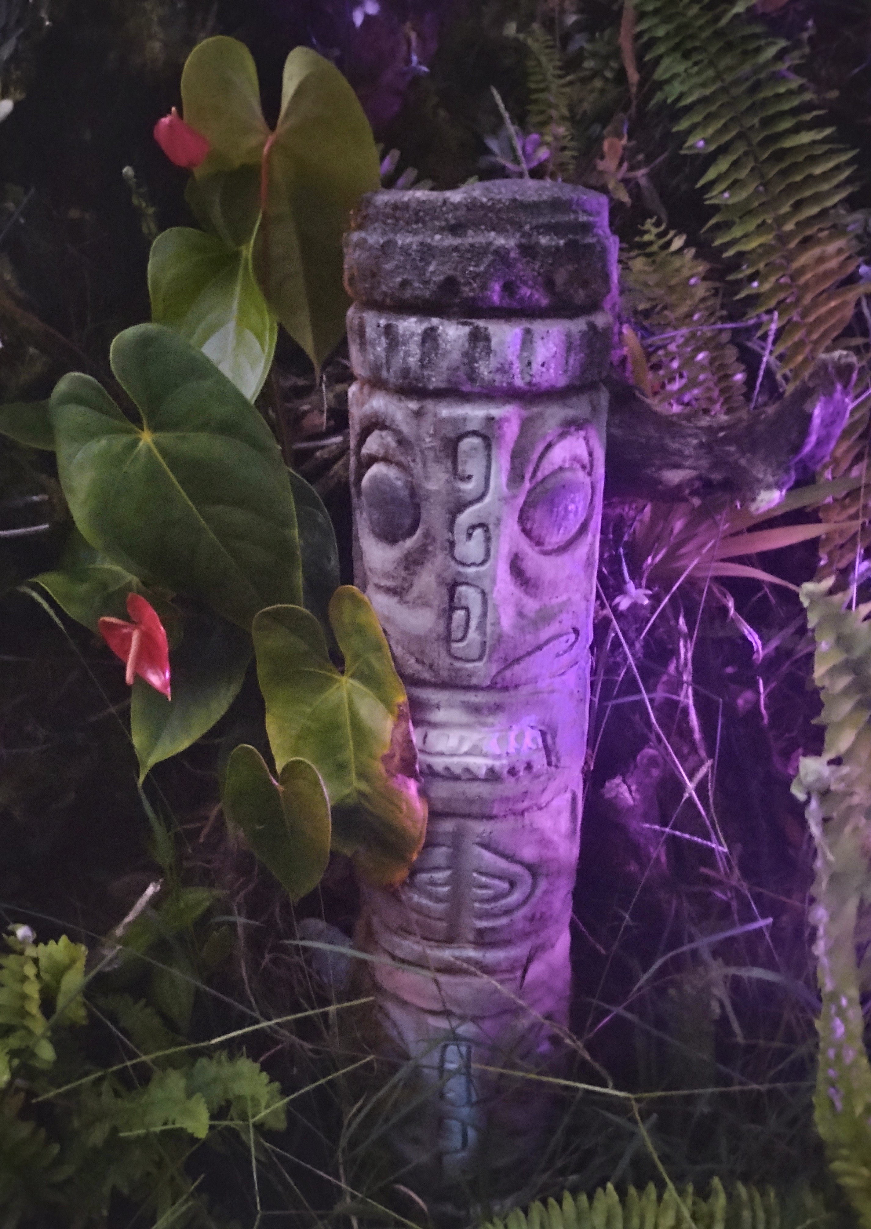 Galaxy Canopy Just Be Oasis