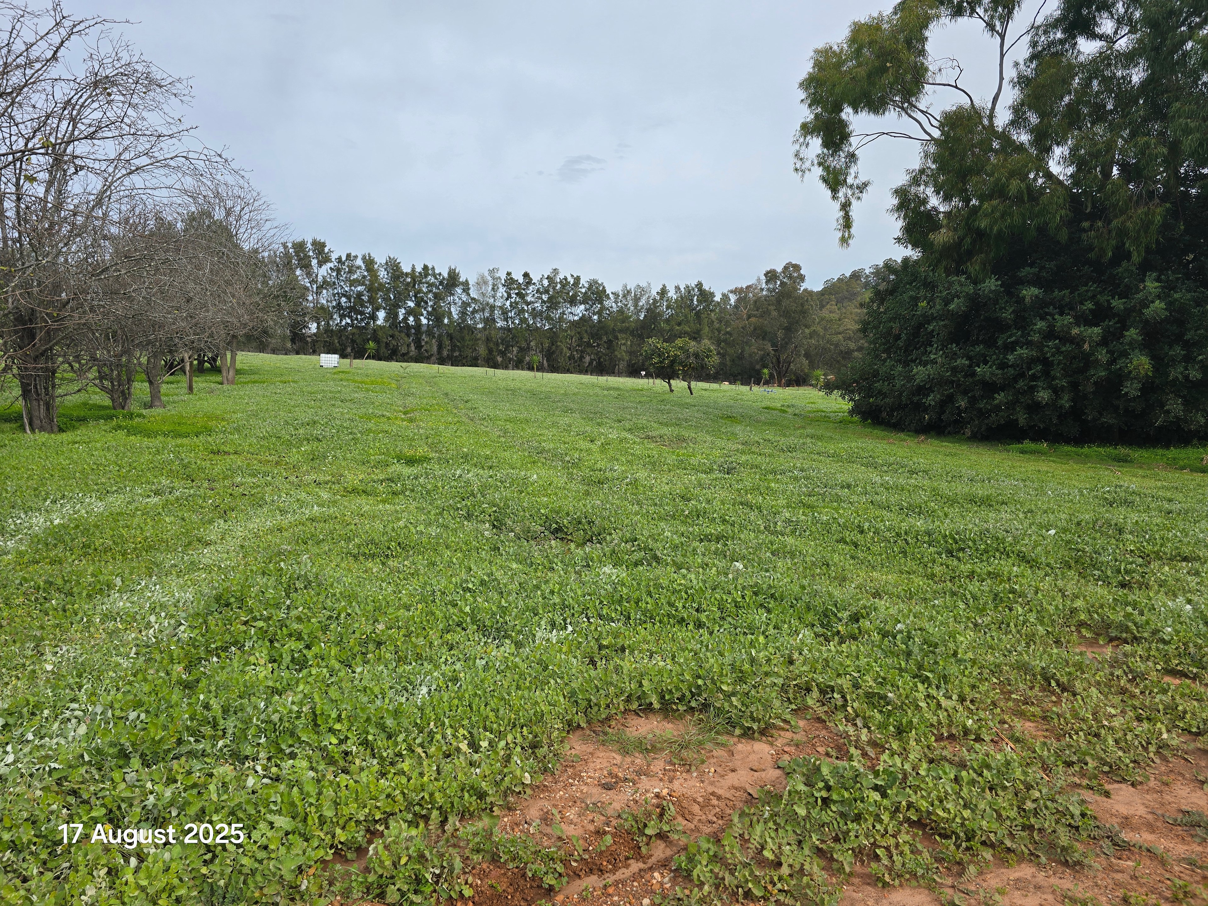 Citrus Park – A peaceful escape