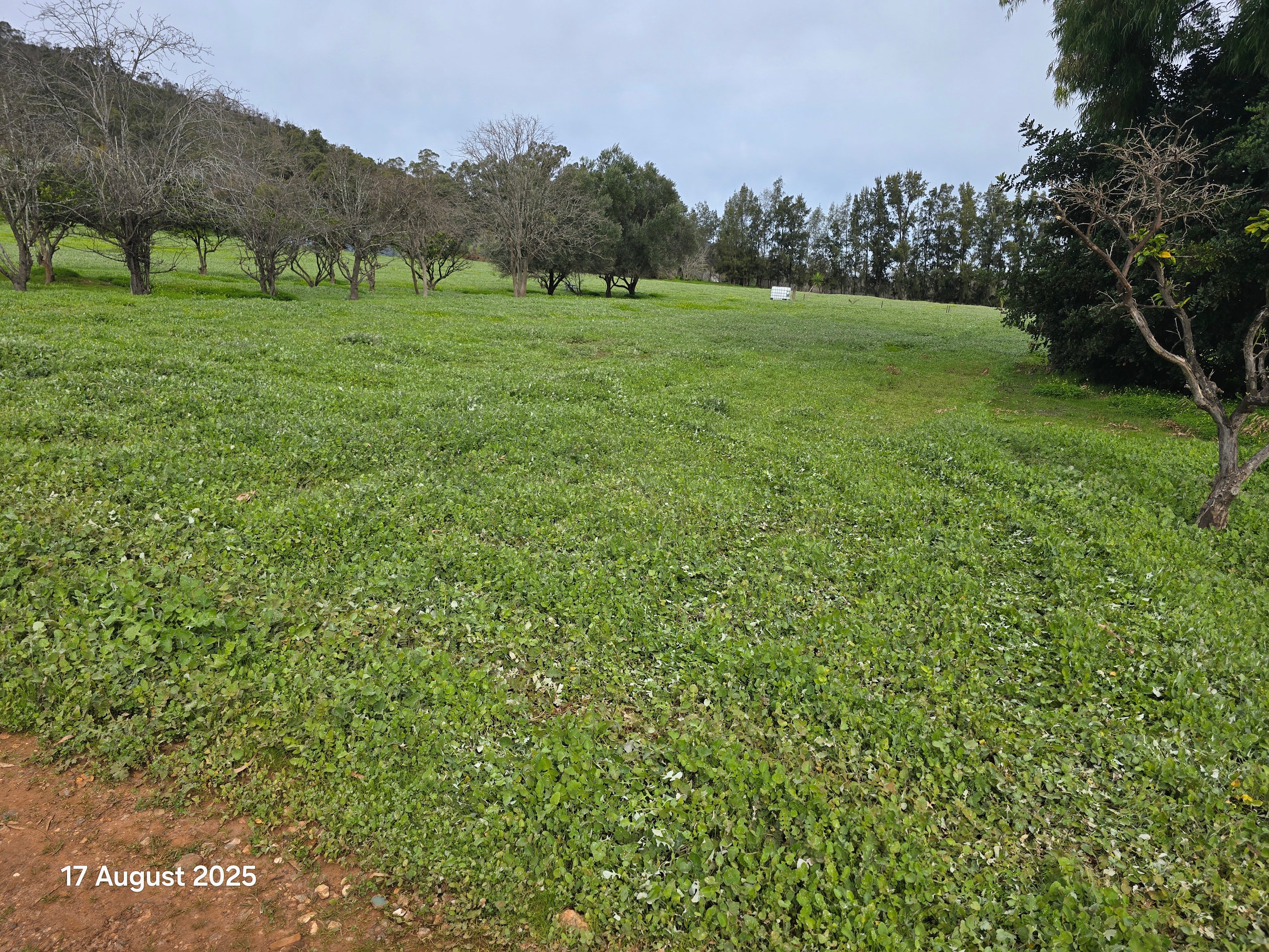 Citrus Park – A peaceful escape