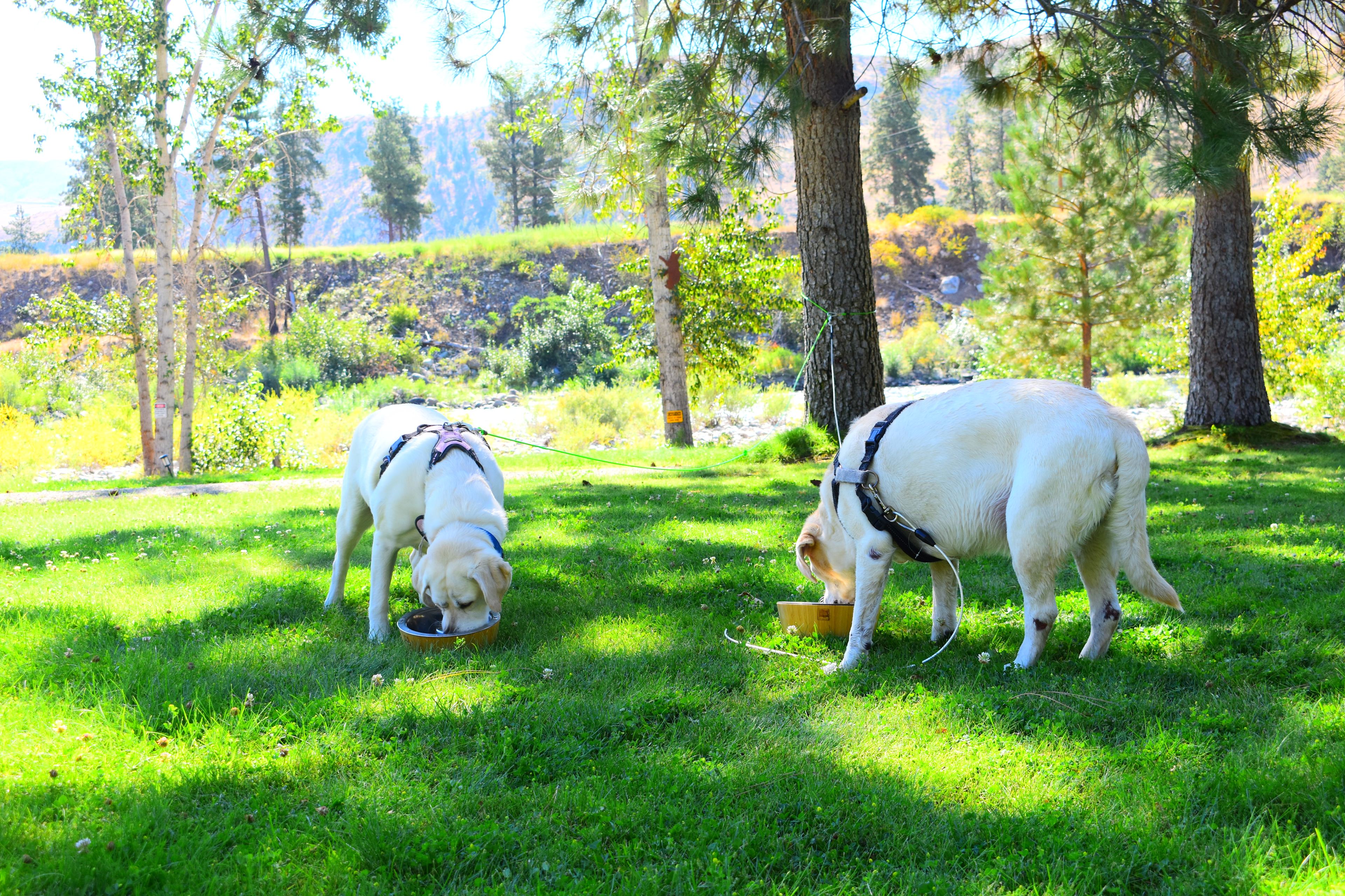 Kountry Riverside Hideaway