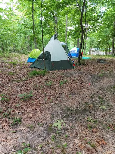 Oli's Backcountry Campground and Disc Golf Course (203) 808-1770