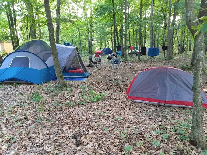 Oli's Backcountry Campground and Disc Golf Course (203) 808-1770