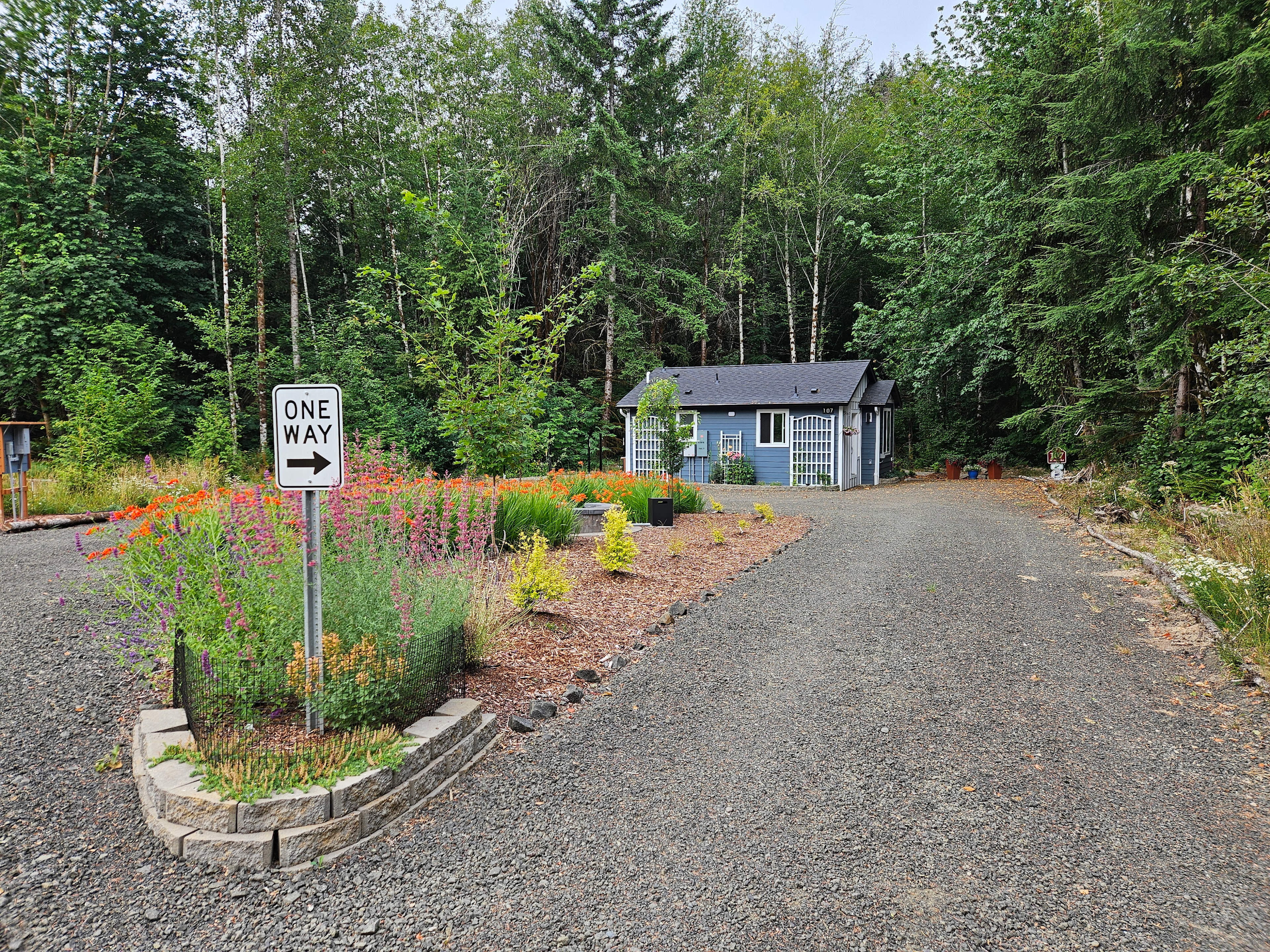 Firepit Circle with August Wildflowers
