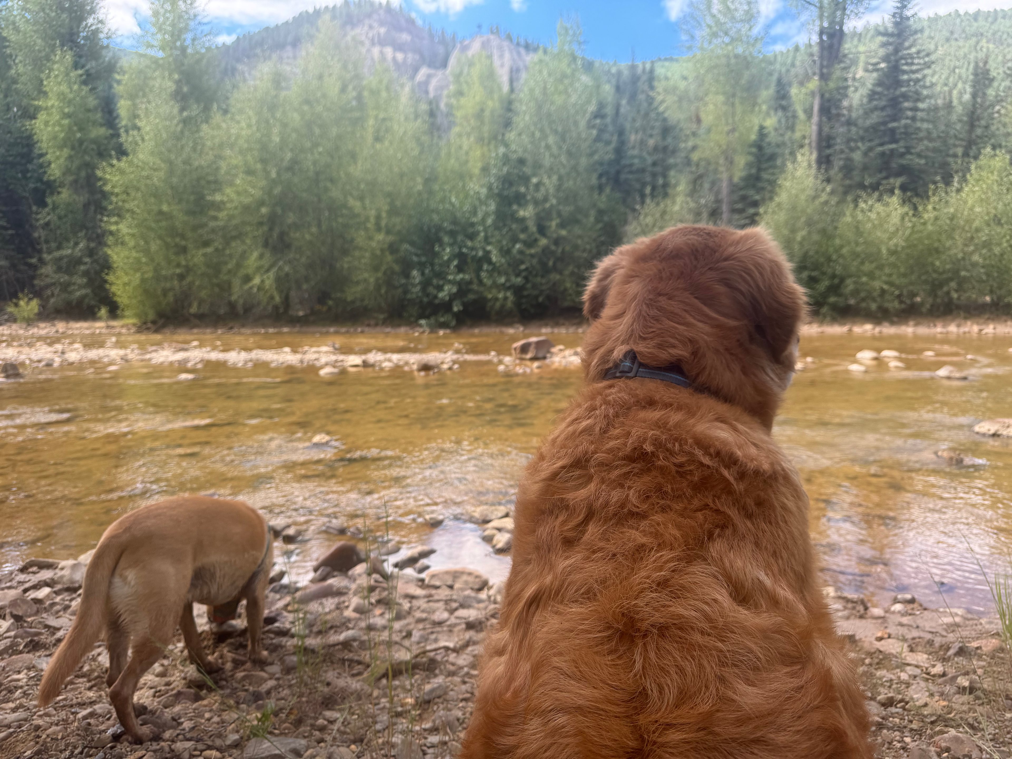 AIYM Camp Riverfront Duplex Cabin!