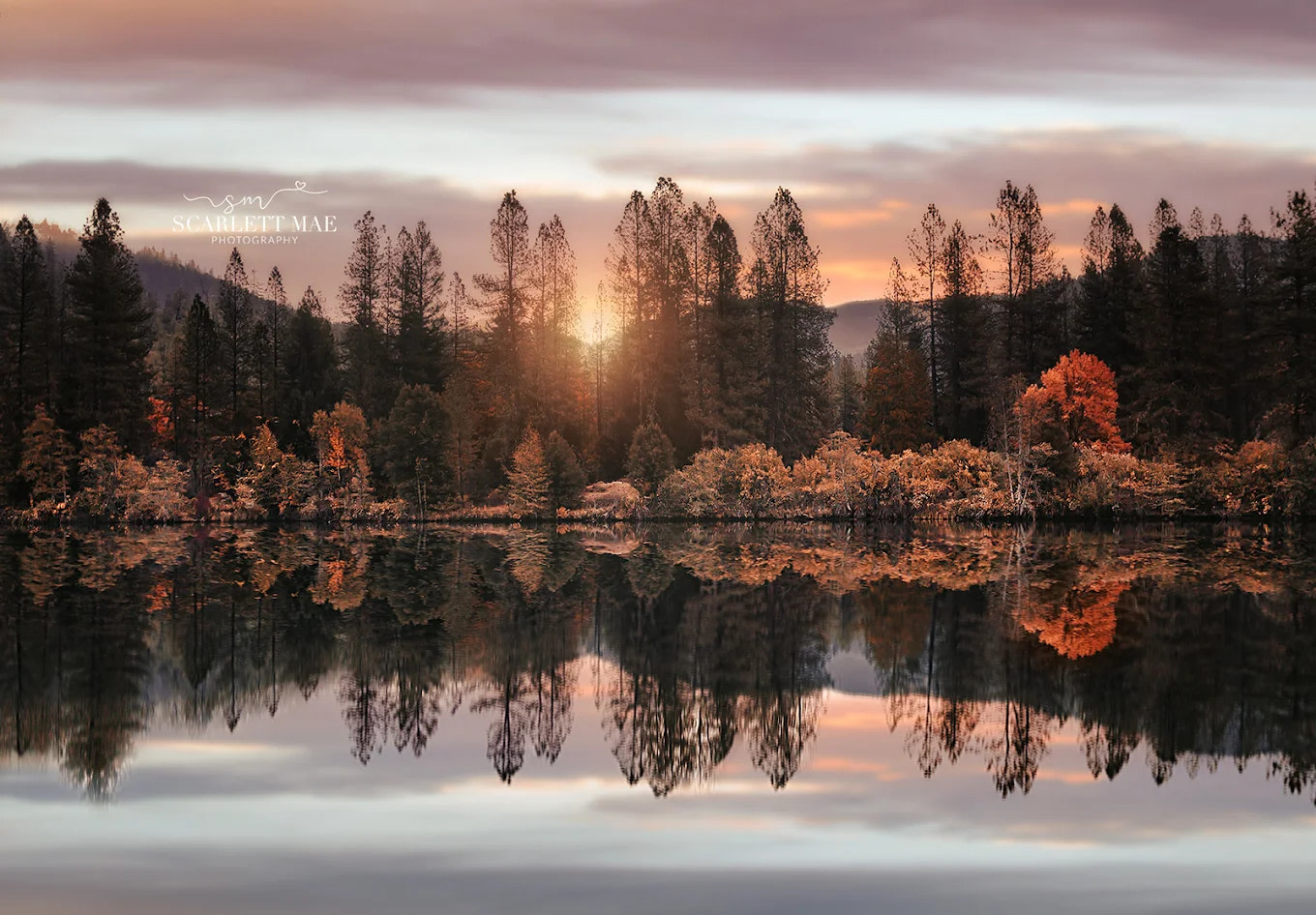 Lakeview Terrace Resort, RV Park & Campground